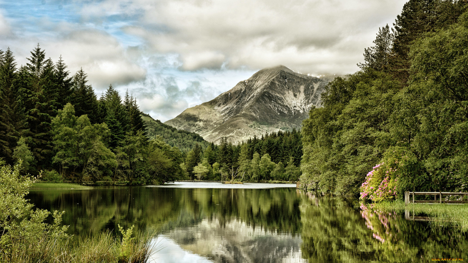 природа, реки, озера, река, лес