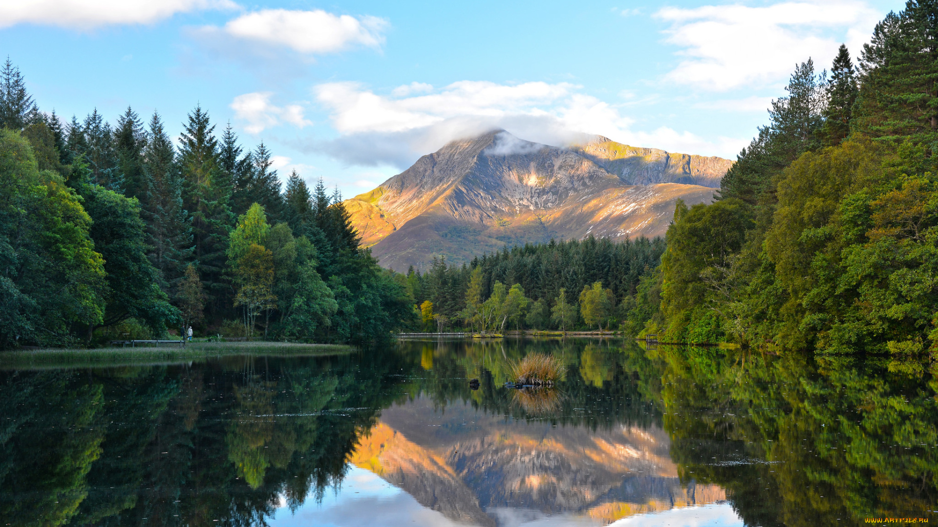 природа, реки, озера, река, лес