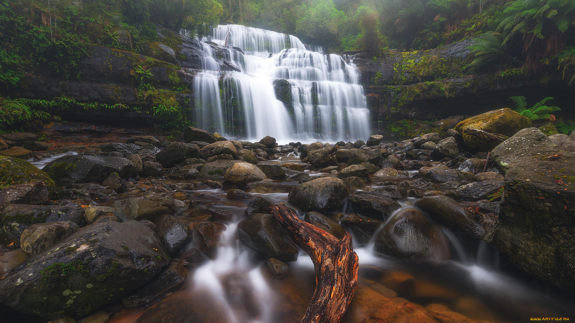 природа, водопады, liffey, falls, tasmania, австралия, водопад, река