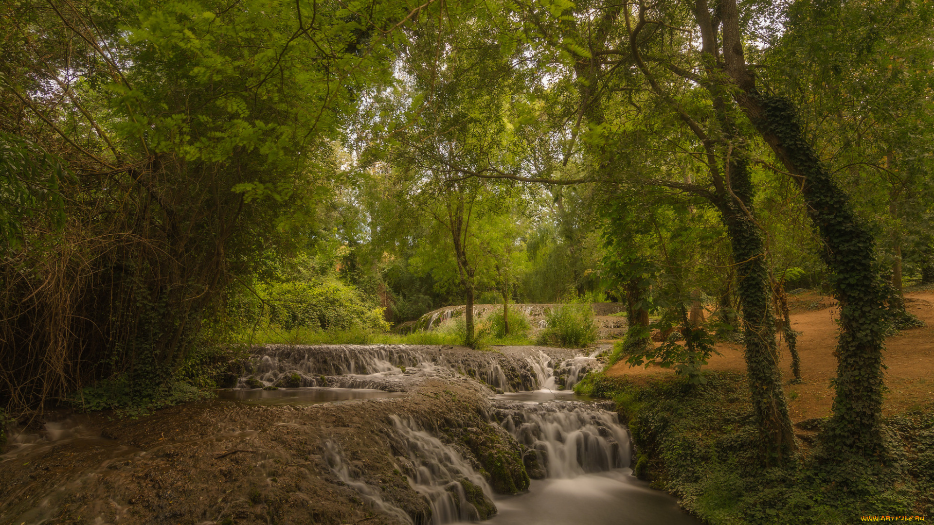 природа, водопады, водопад, река, лес