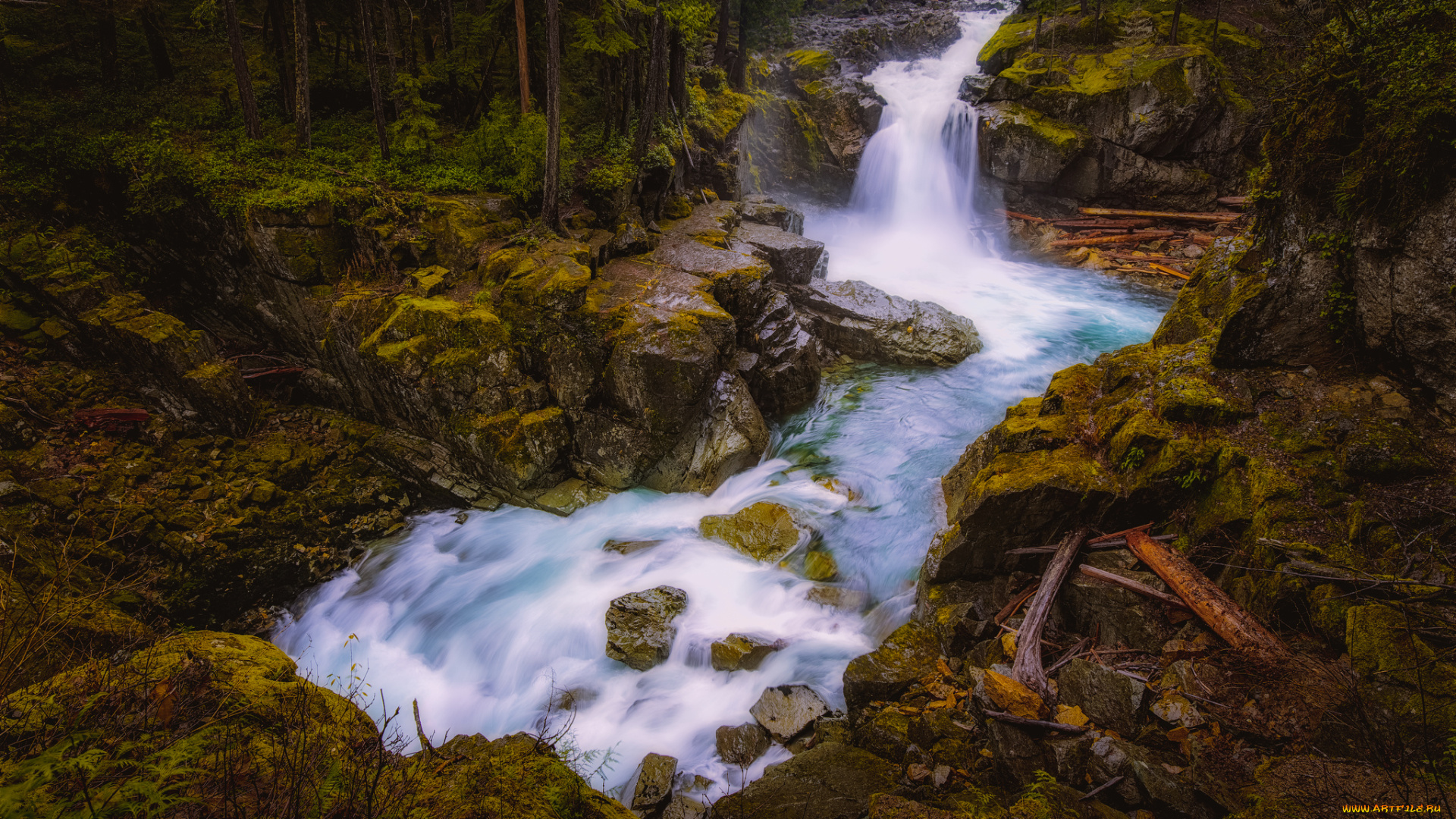природа, водопады, водопад, река, лес