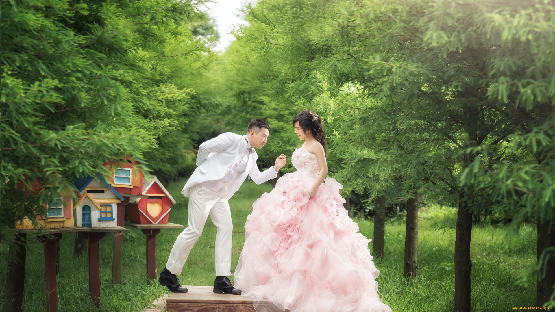 разное, мужчина, женщина, любовь, невеста, жених, свадьба, платье, праздник