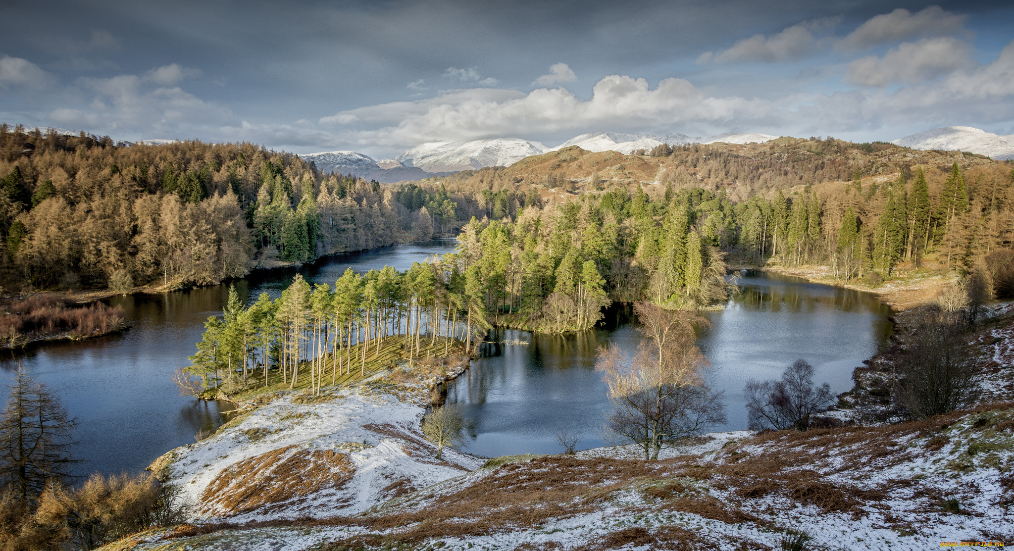 природа, реки, озера, река, лес