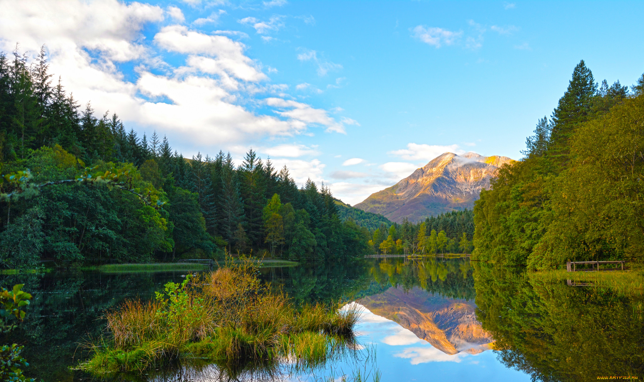 природа, реки, озера, лес, река