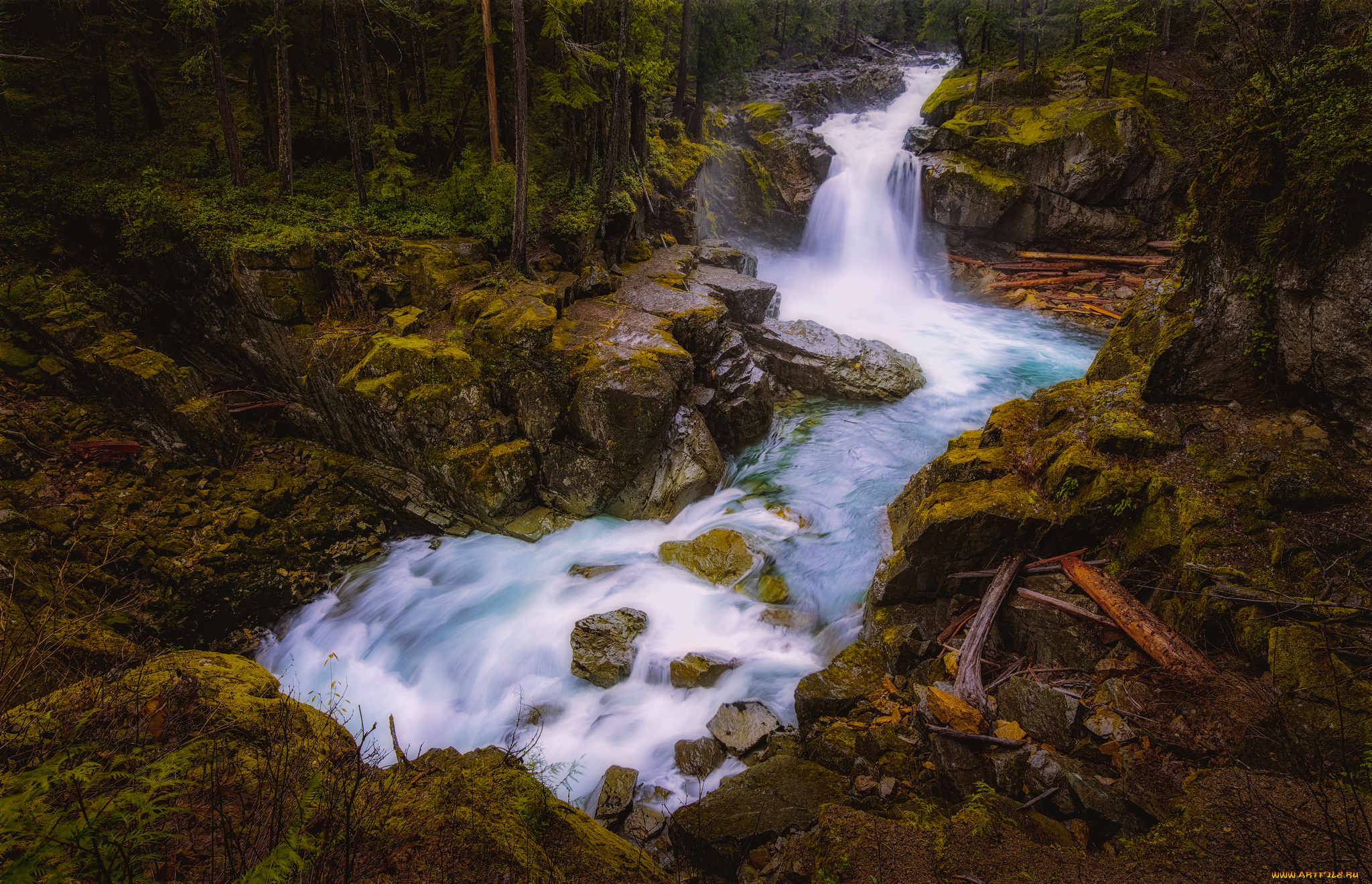 природа, водопады, водопад, река, лес
