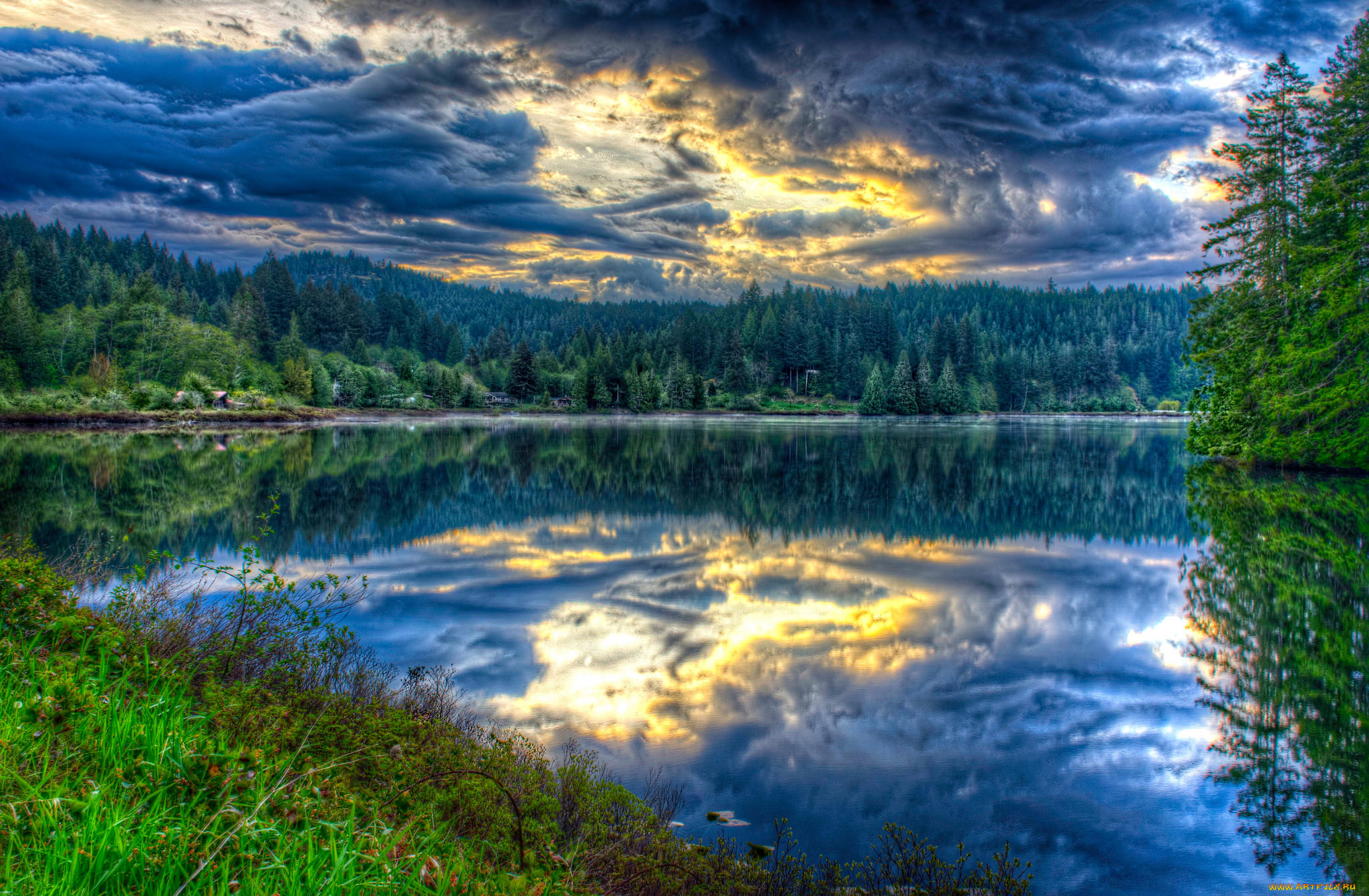 природа, реки, озера, река, лес