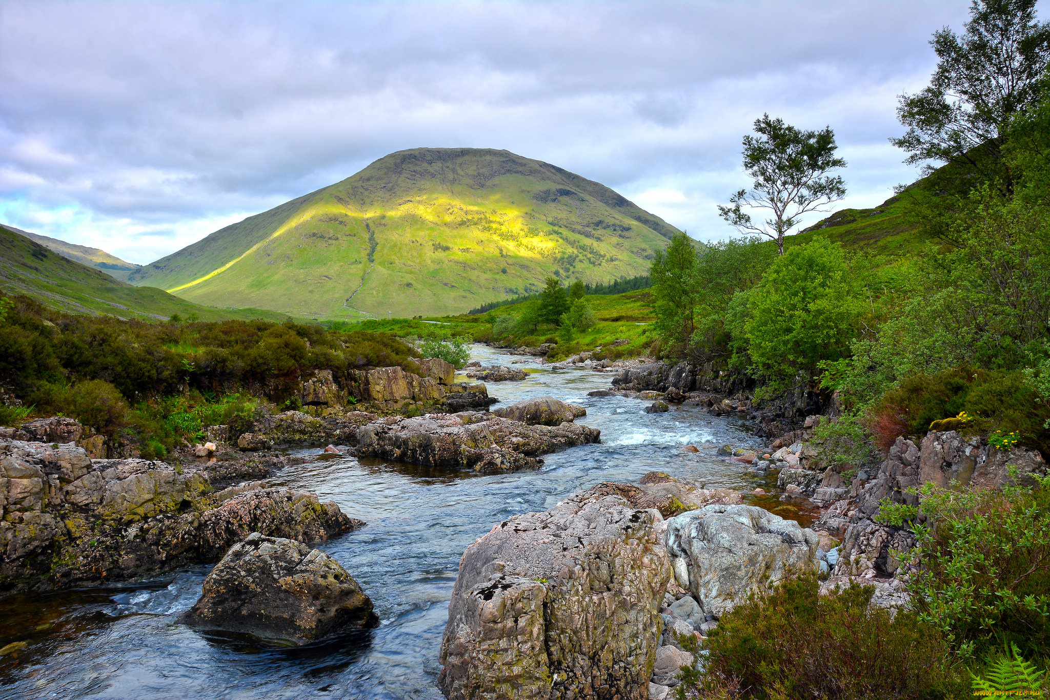 природа, реки, озера, лес, река