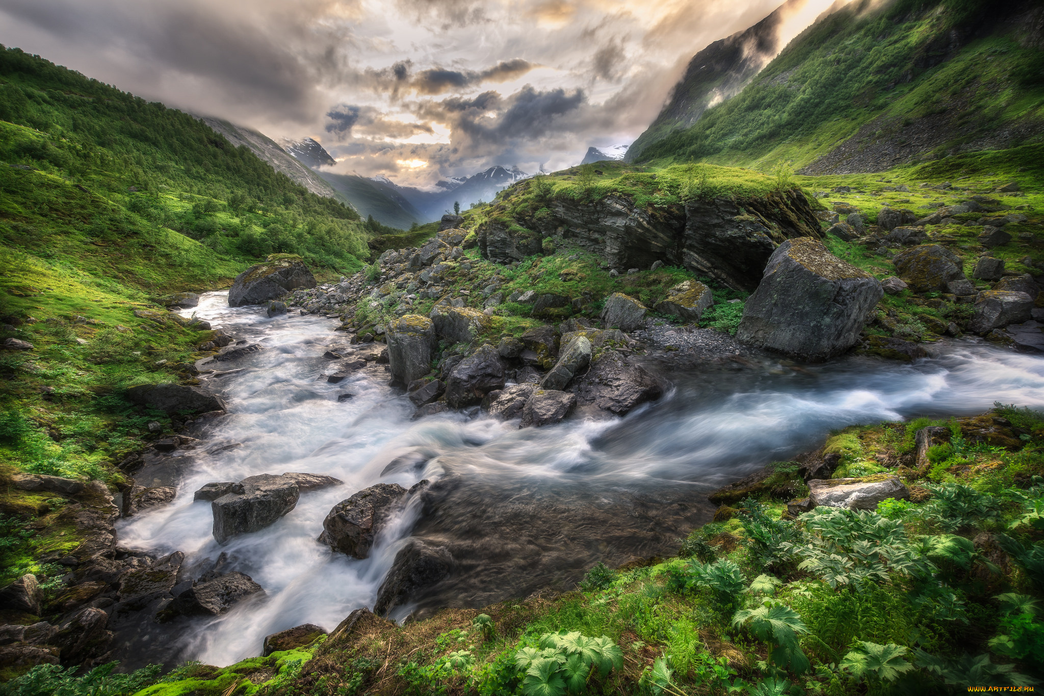 природа, реки, озера, река, лес