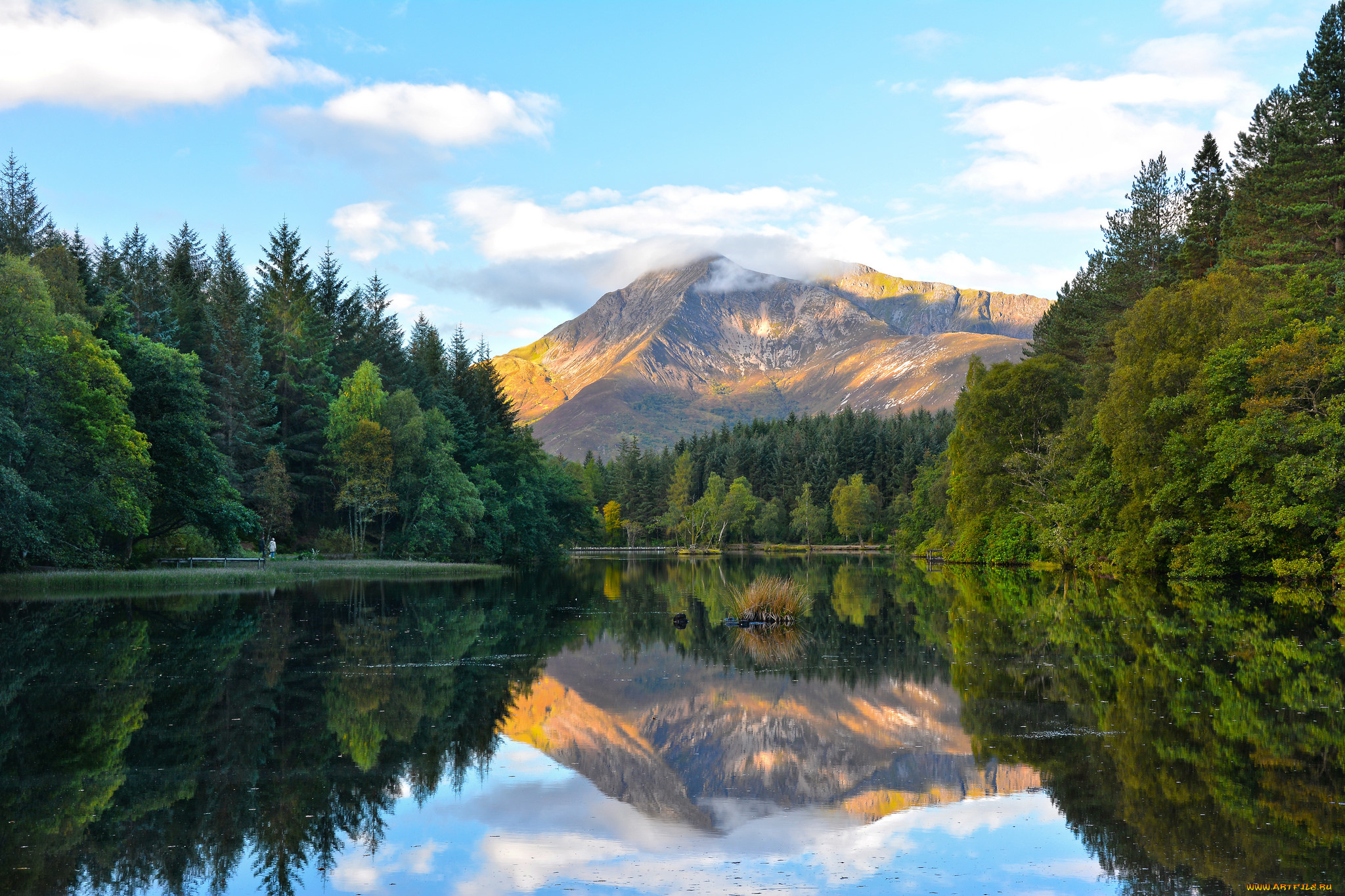 природа, реки, озера, река, лес