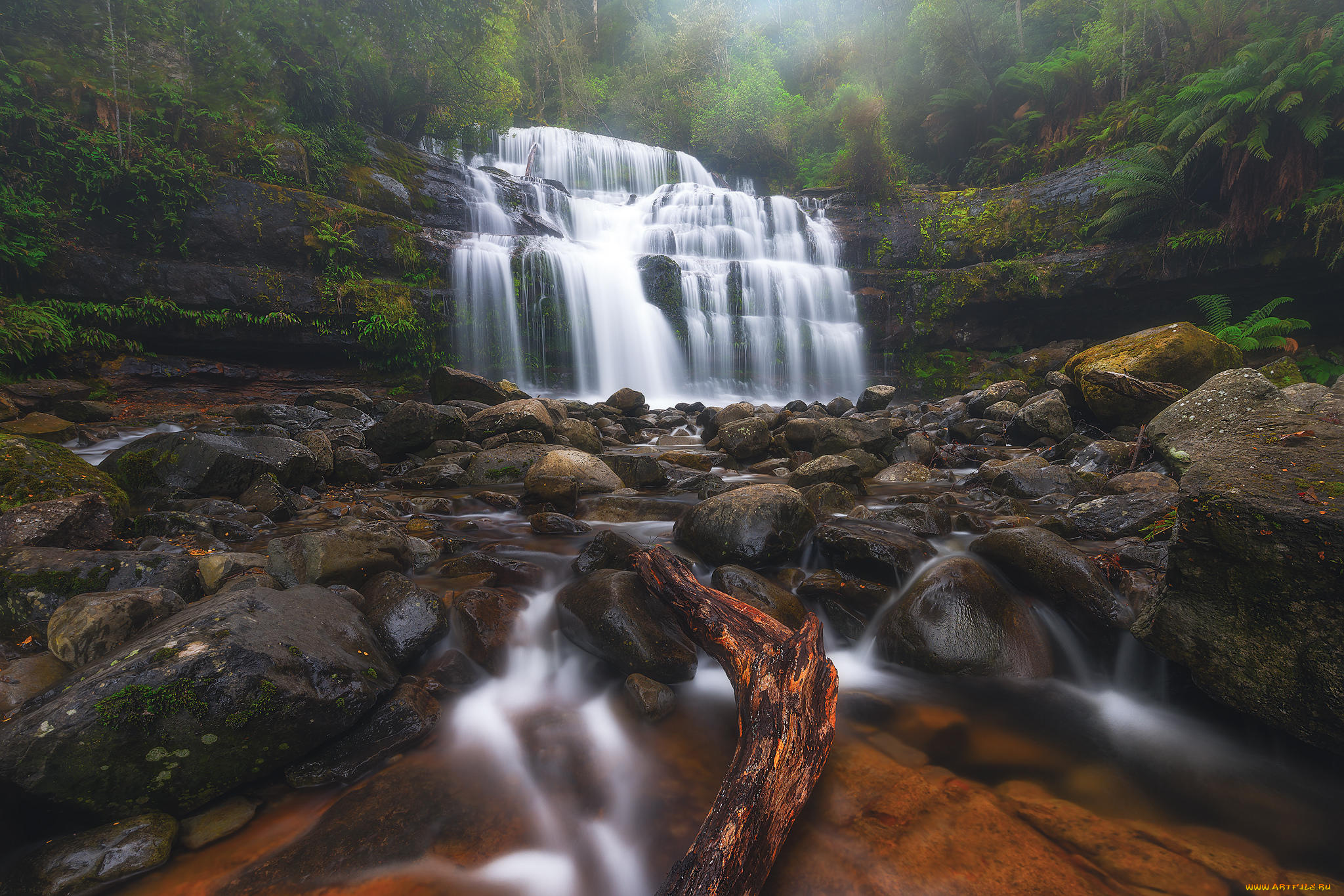 природа, водопады, liffey, falls, tasmania, австралия, водопад, река