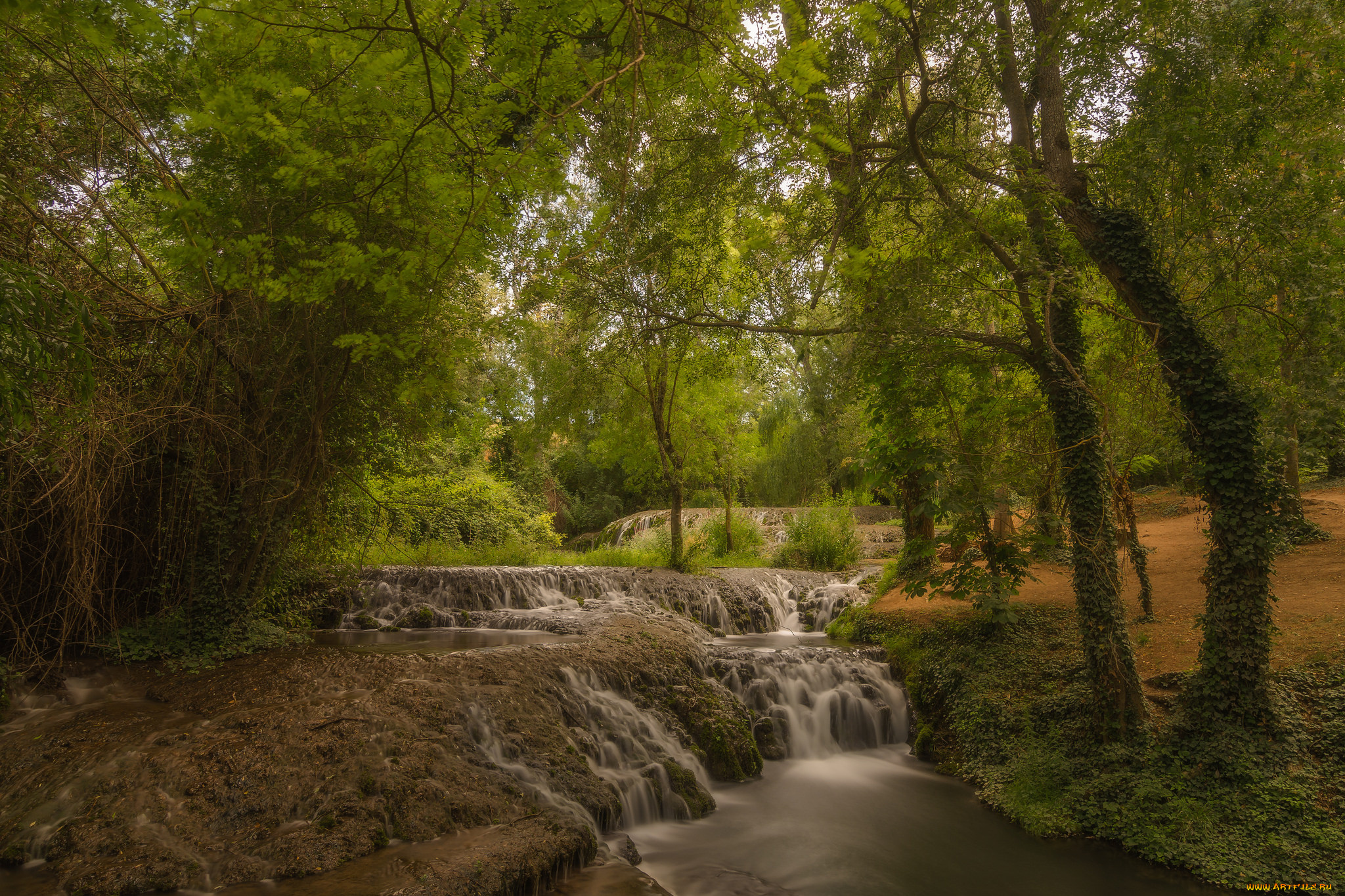 природа, водопады, водопад, река, лес