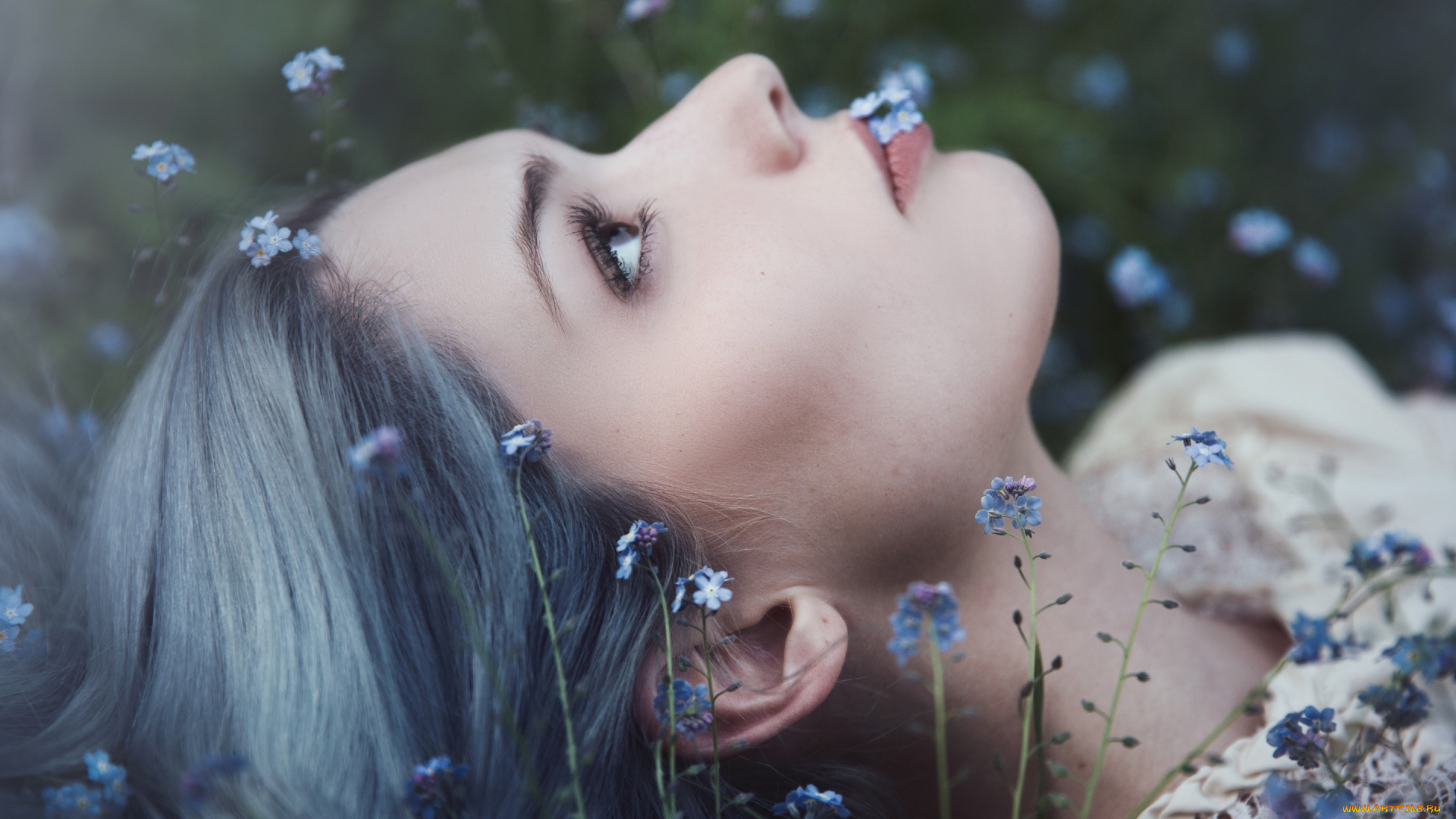 девушки, -unsort, , лица, , портреты, фон, незабудки, поляна, портрет, смотрит, вверх, лежит, профиль, лицо, природа, крупный, план, цветы, глаза, девушка, взгляд