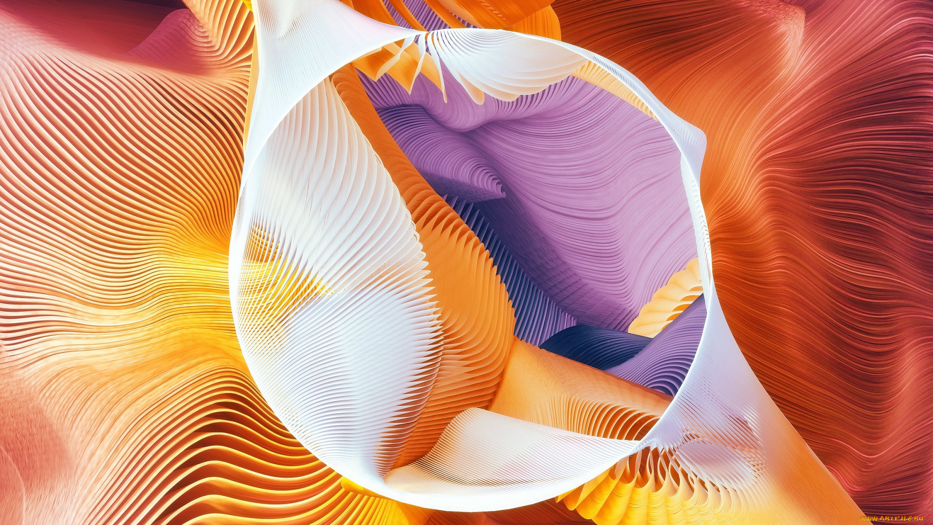 векторная, графика, графика, , graphics, линии, узор, краски, объем