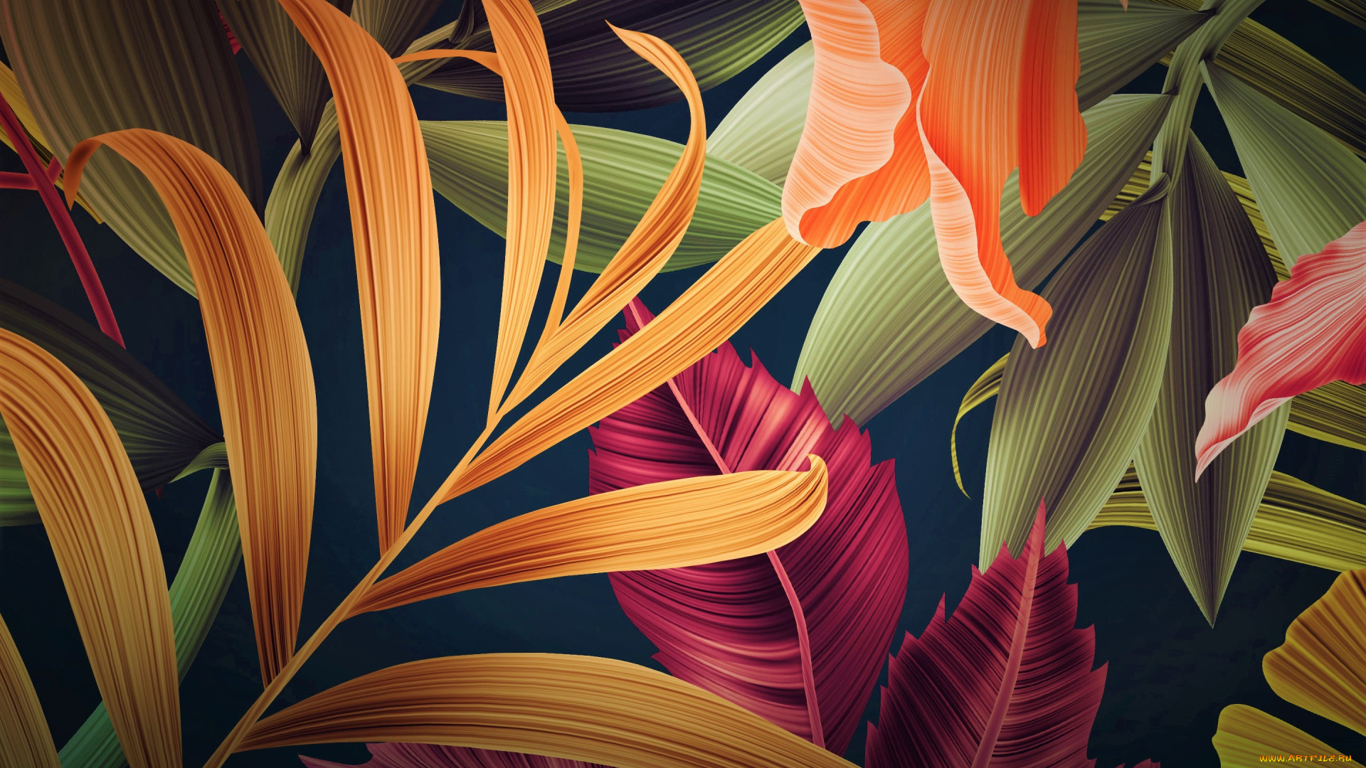 векторная, графика, природа, , nature, листья, фон