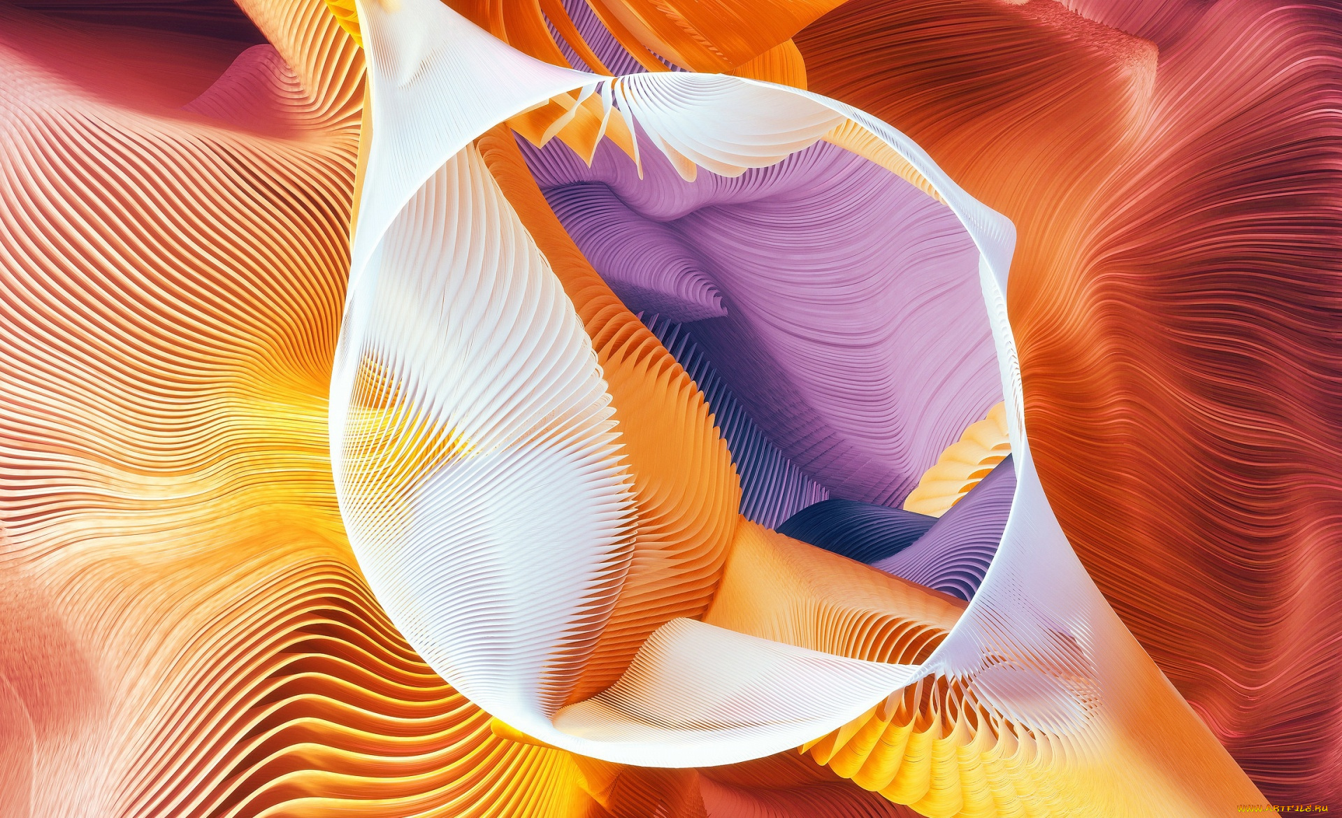 векторная, графика, графика, , graphics, линии, узор, краски, объем