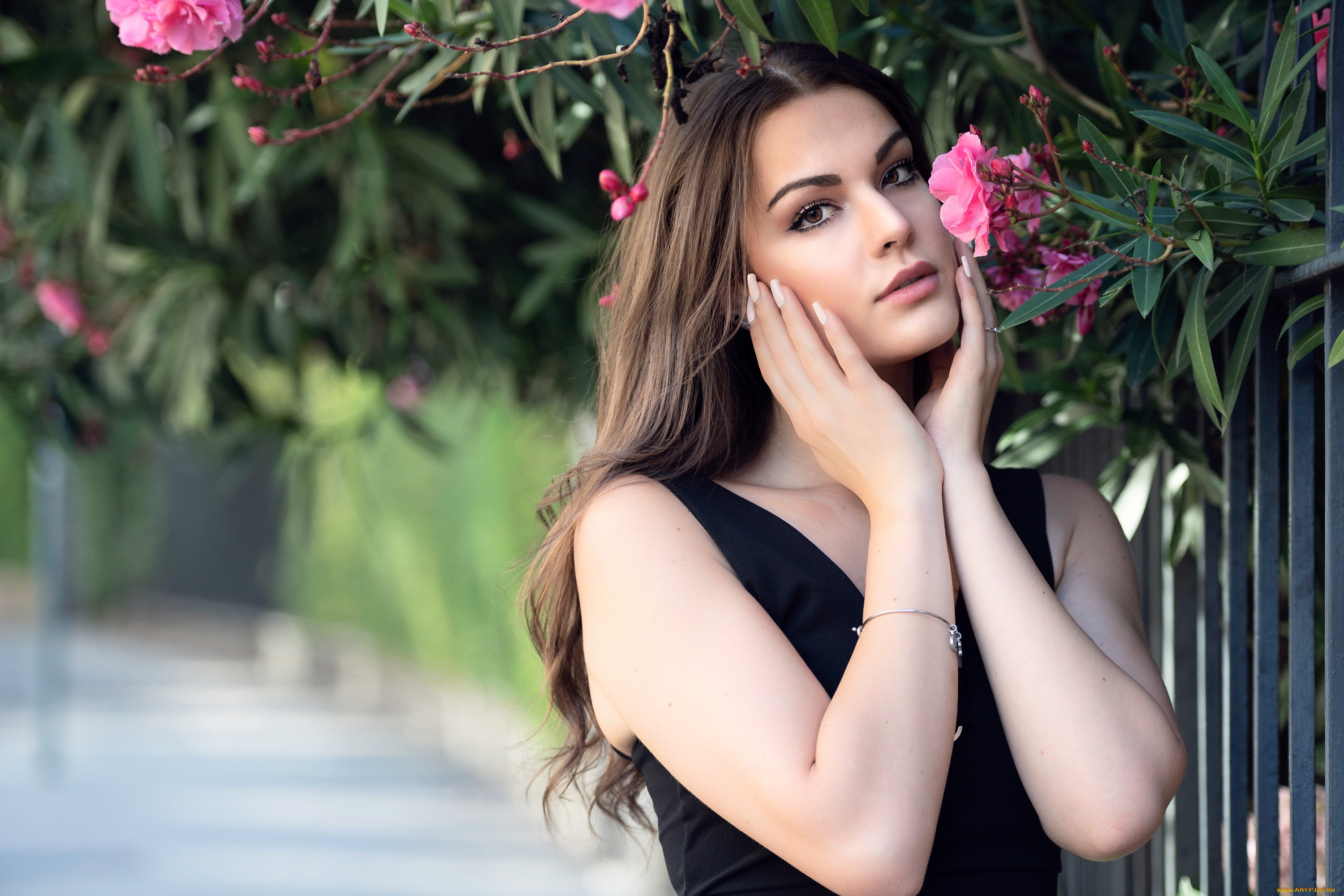 девушка, девушки, -unsort, , блондинки, , светловолосые, модель