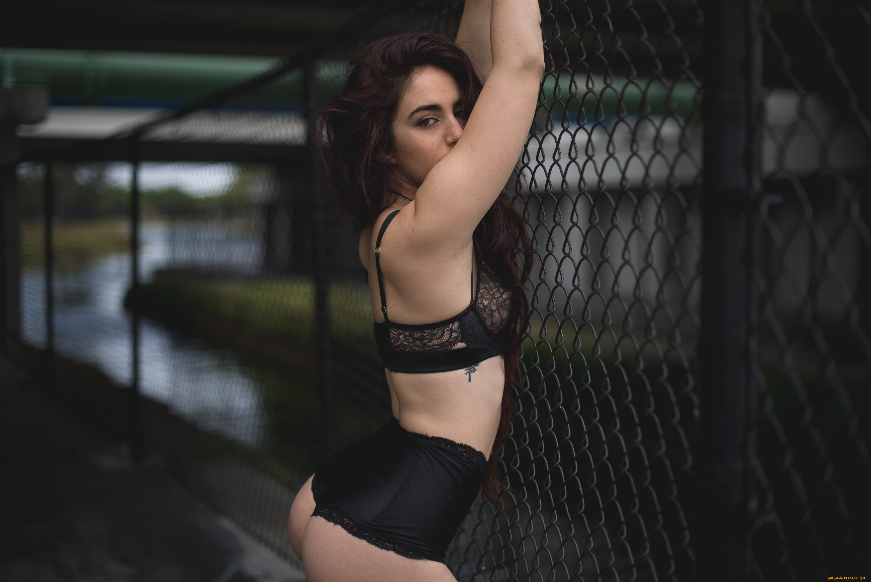 девушка, девушки, -unsort, , брюнетки, темноволосые, модель