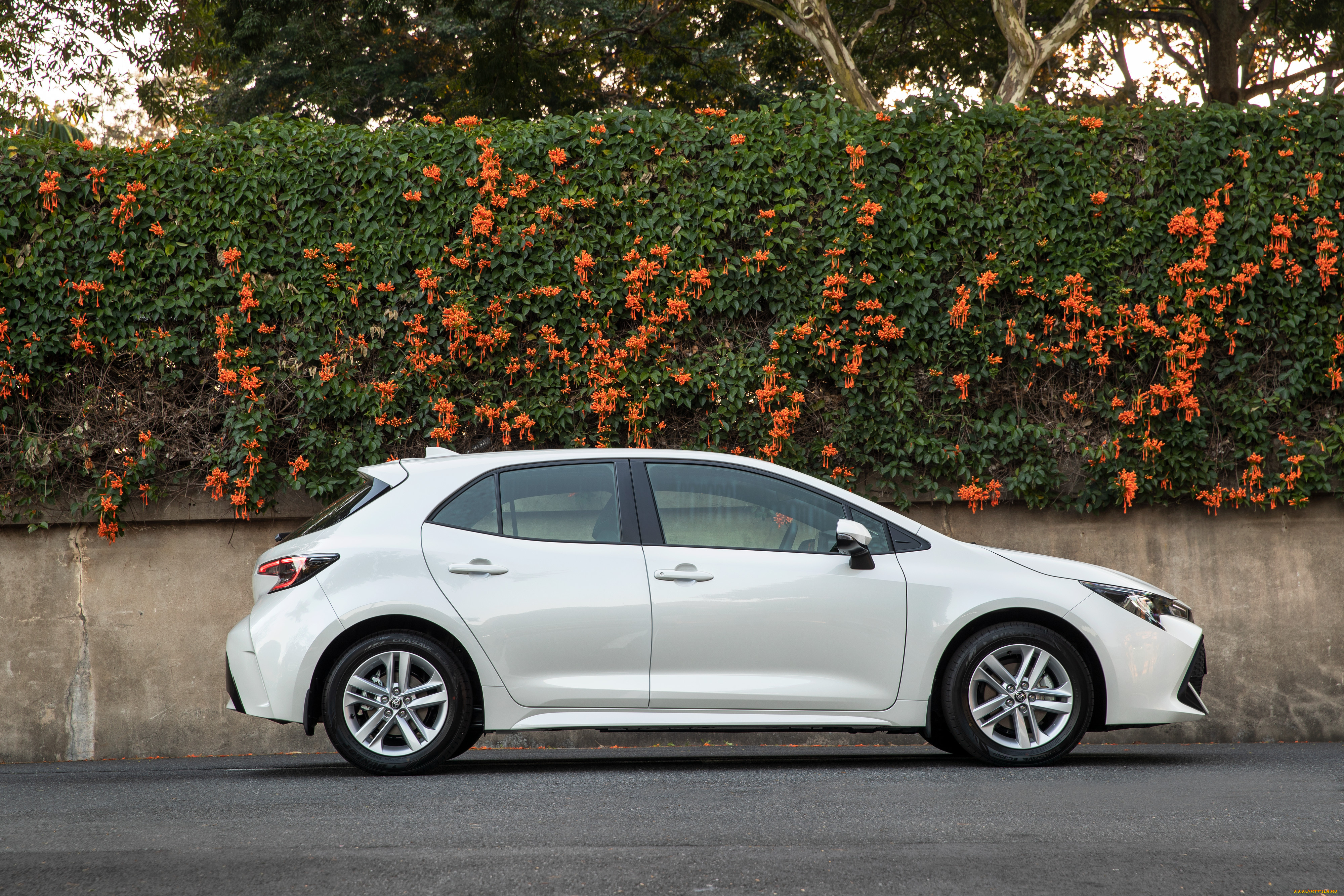 автомобили, toyota