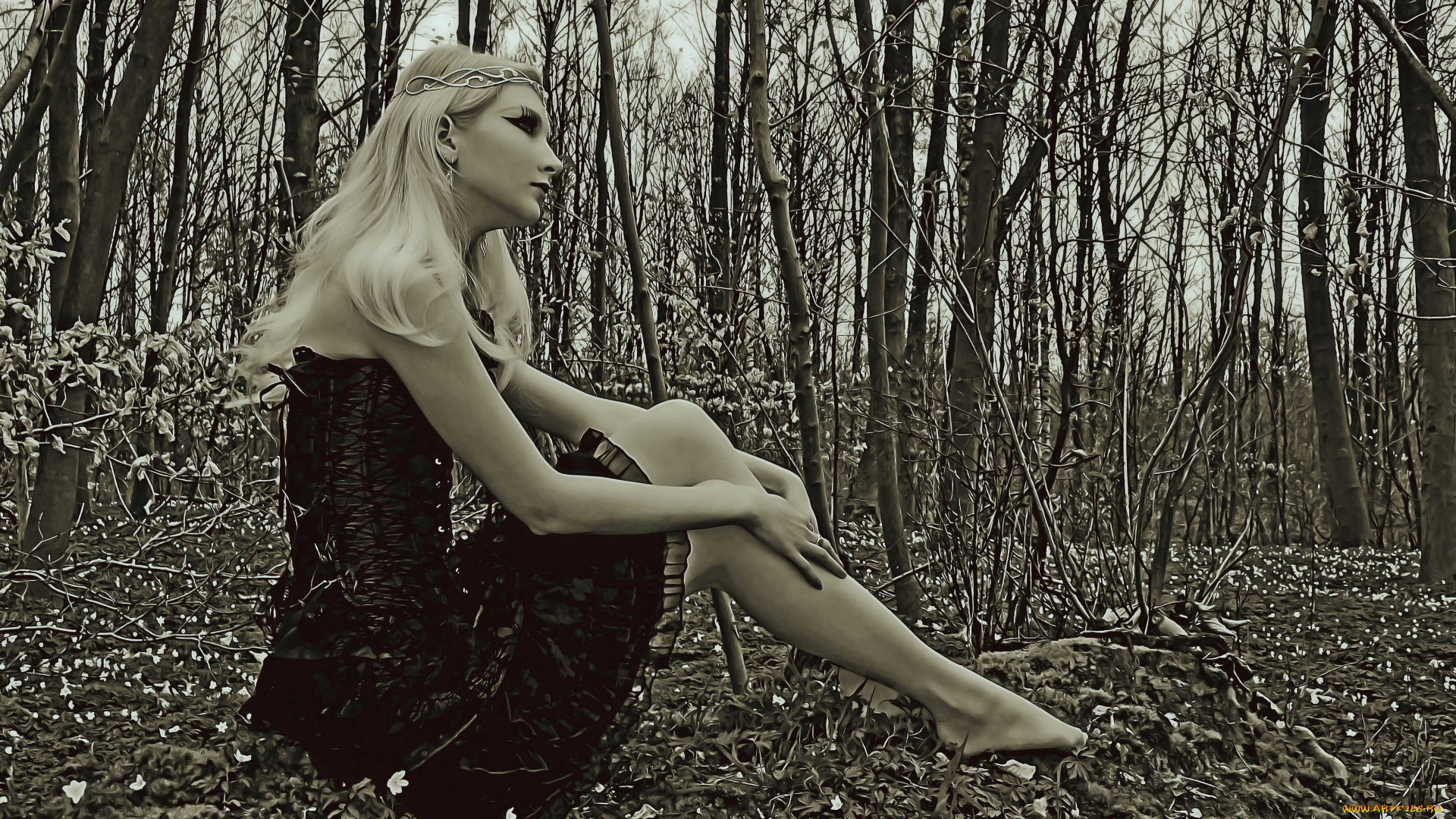 календари, компьютерный, дизайн, женщина, растение, дерево, calendar, 2019, профиль, девушка, природа