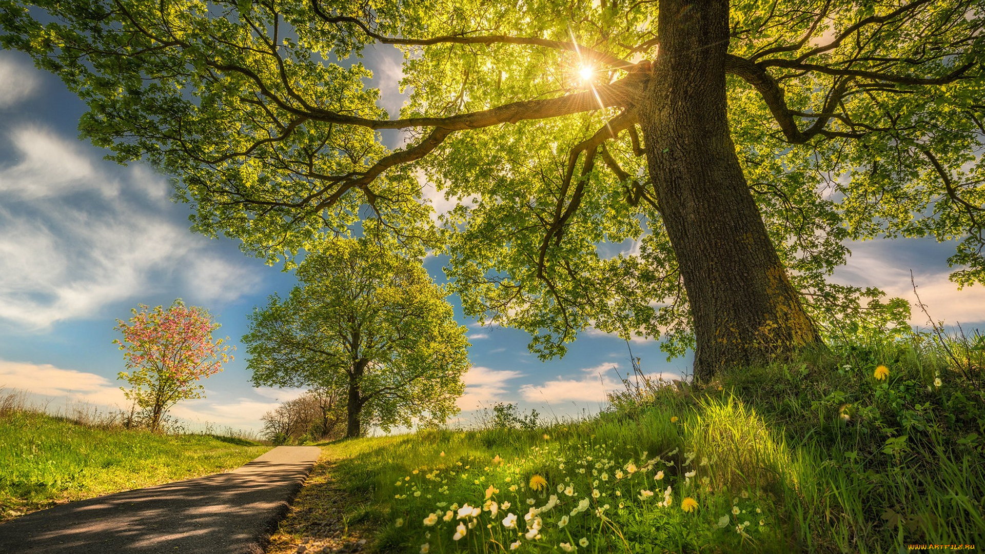 природа, дороги, простор