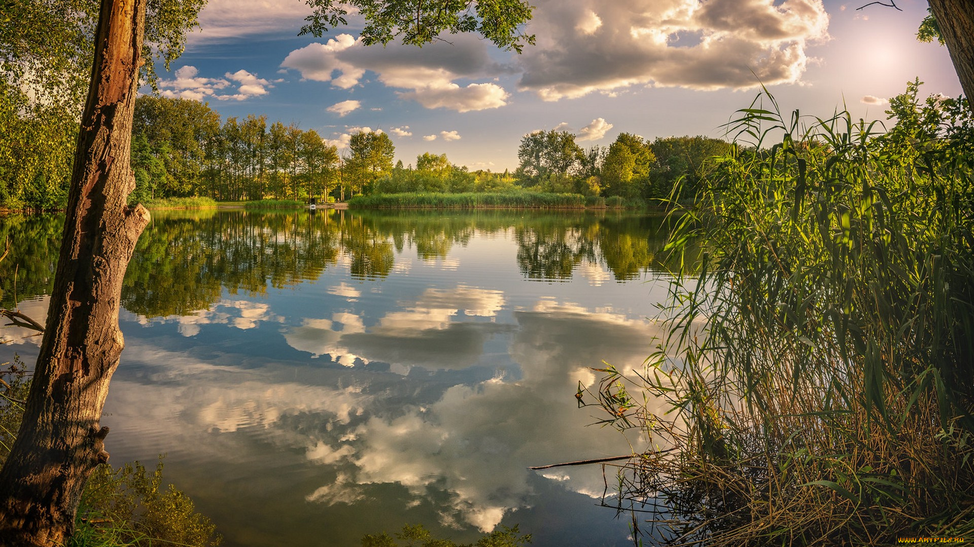 природа, реки, озера, простор