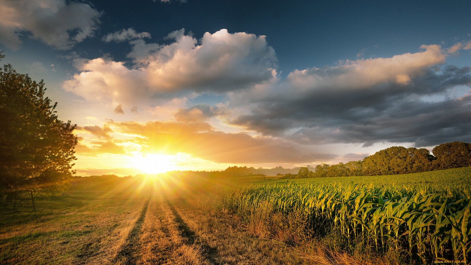 природа, восходы, закаты, простор