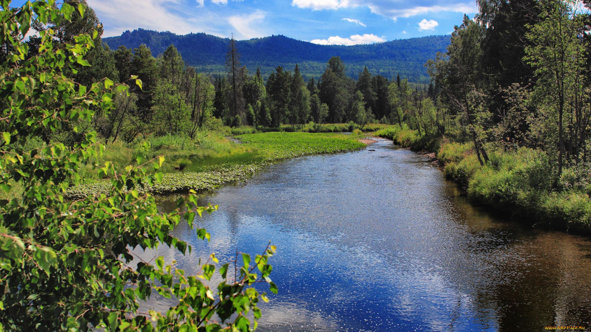 юрюзань, природа, реки, озера, россия, горы, лес, река