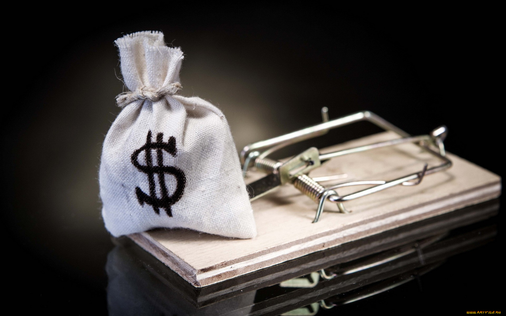 юмор, и, приколы, мышеловка, мешок