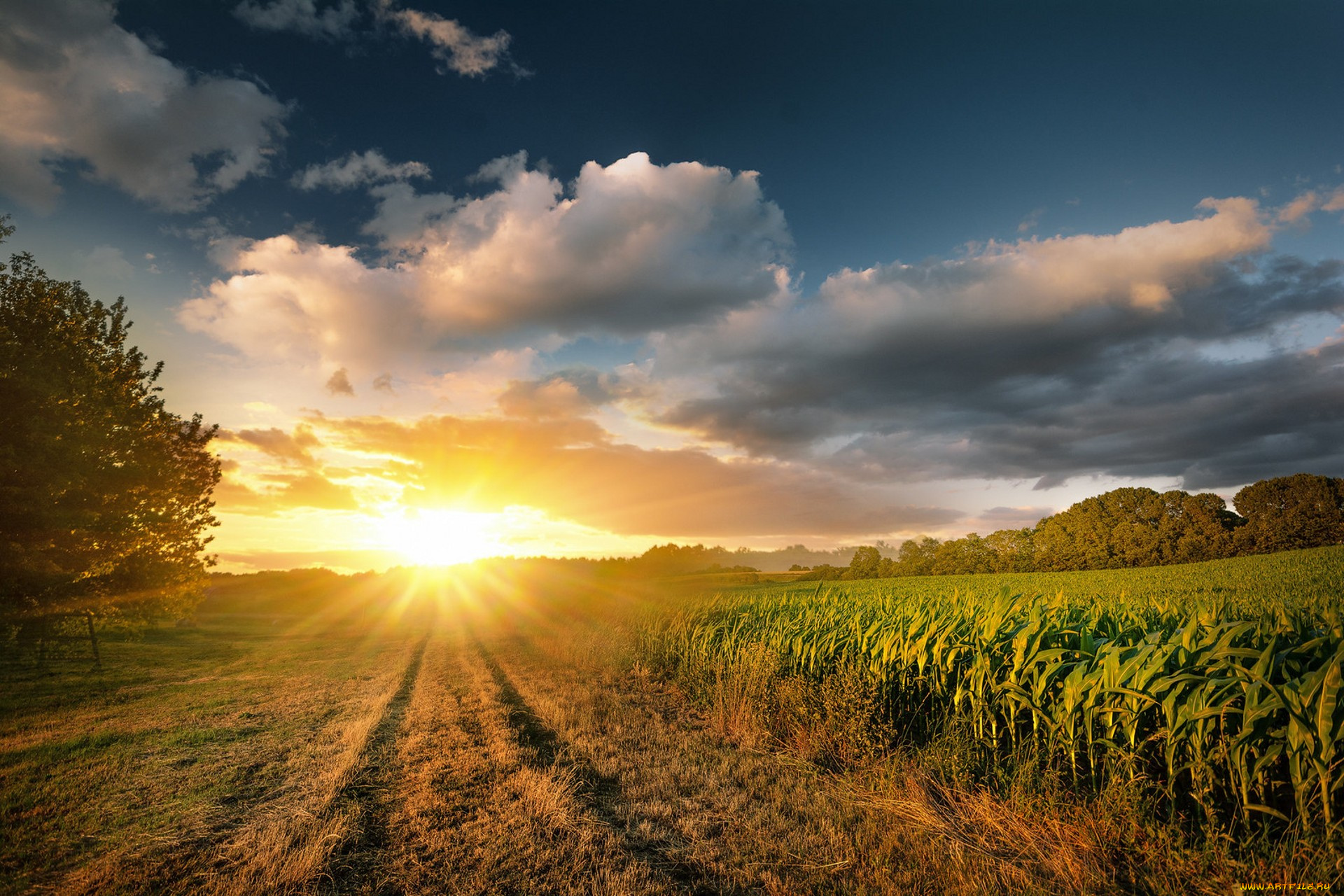 природа, восходы, закаты, простор