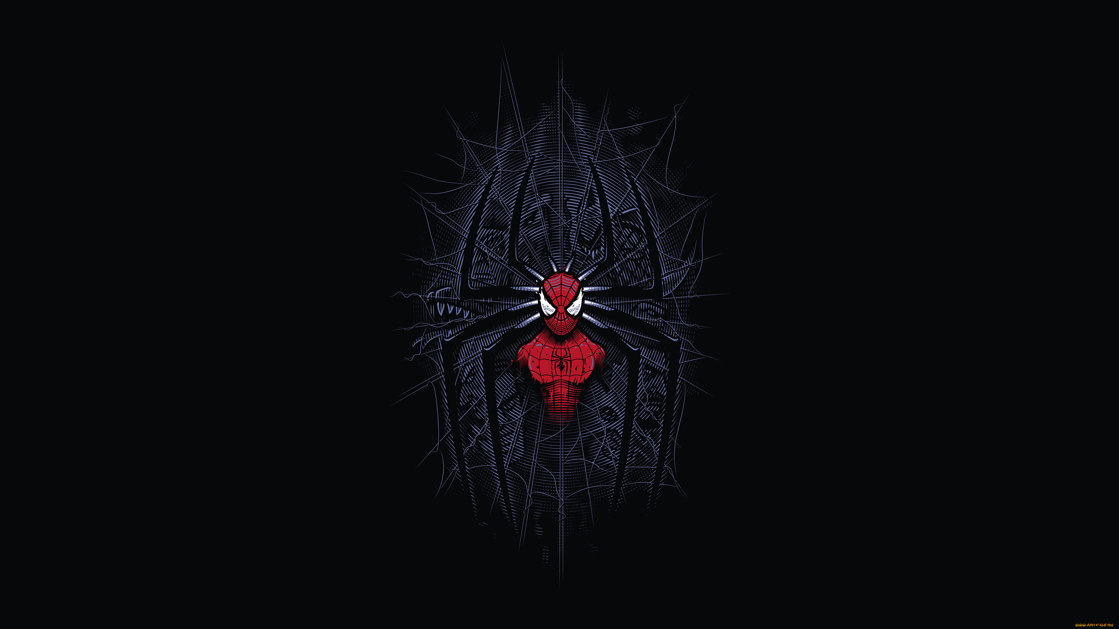 рисованное, комиксы, паук, паутина, человек-паук