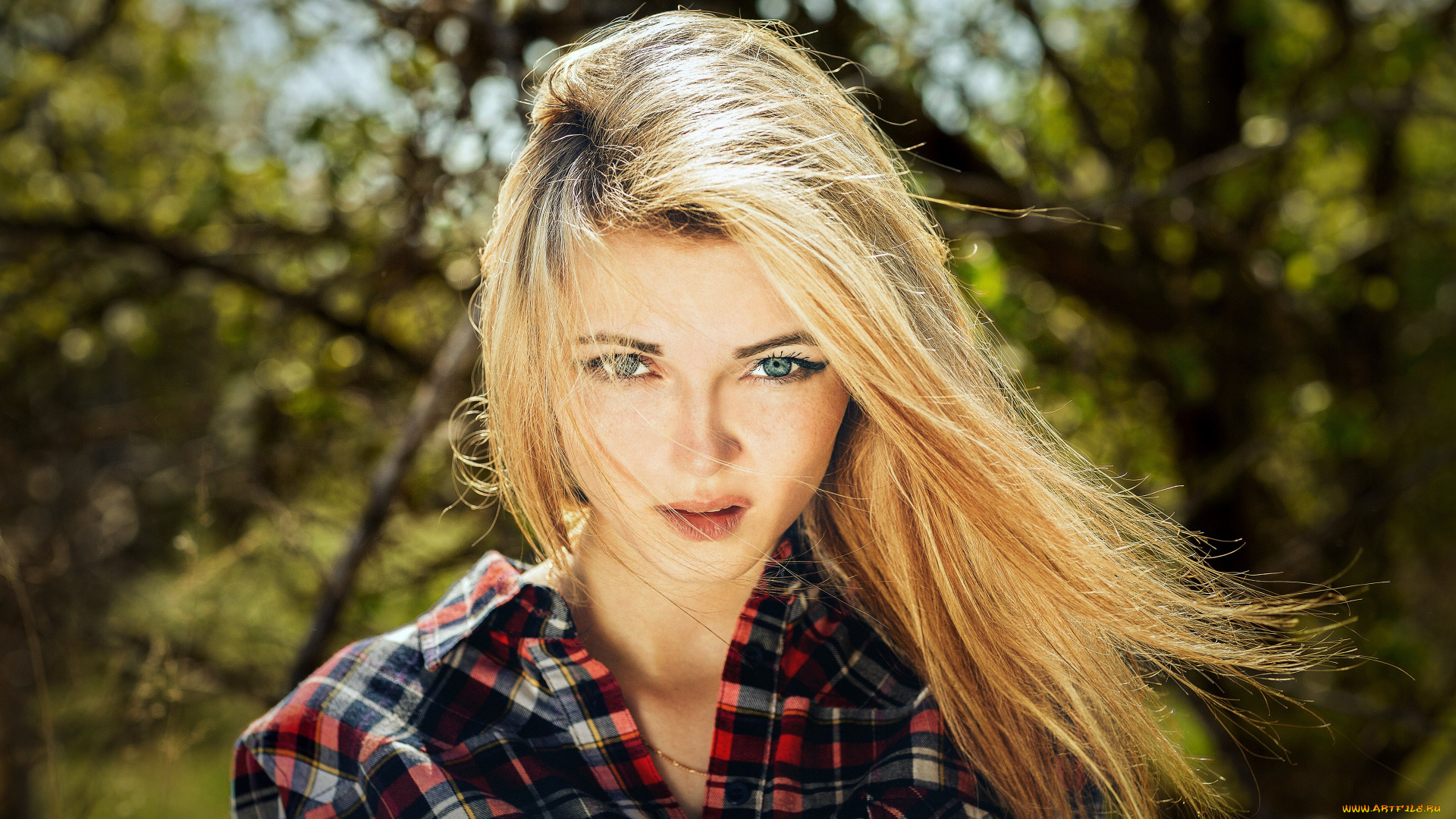 девушки, -, лица, , портреты, красивая, девушка