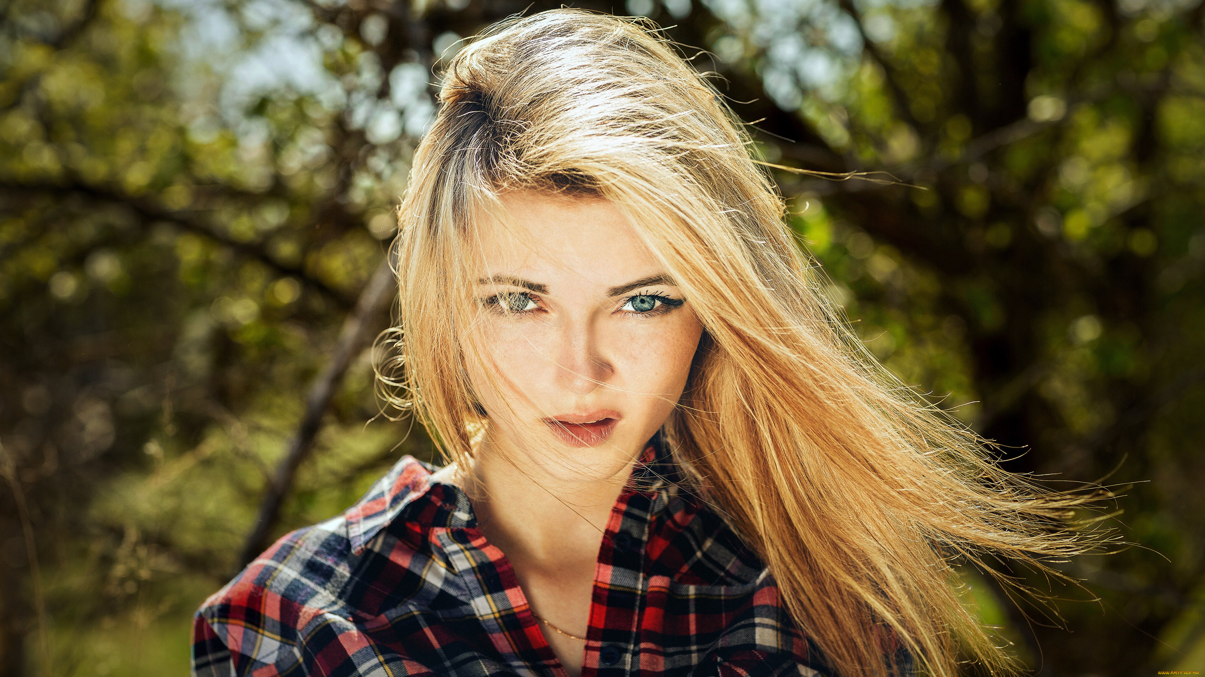 девушки, -, лица, , портреты, красивая, девушка