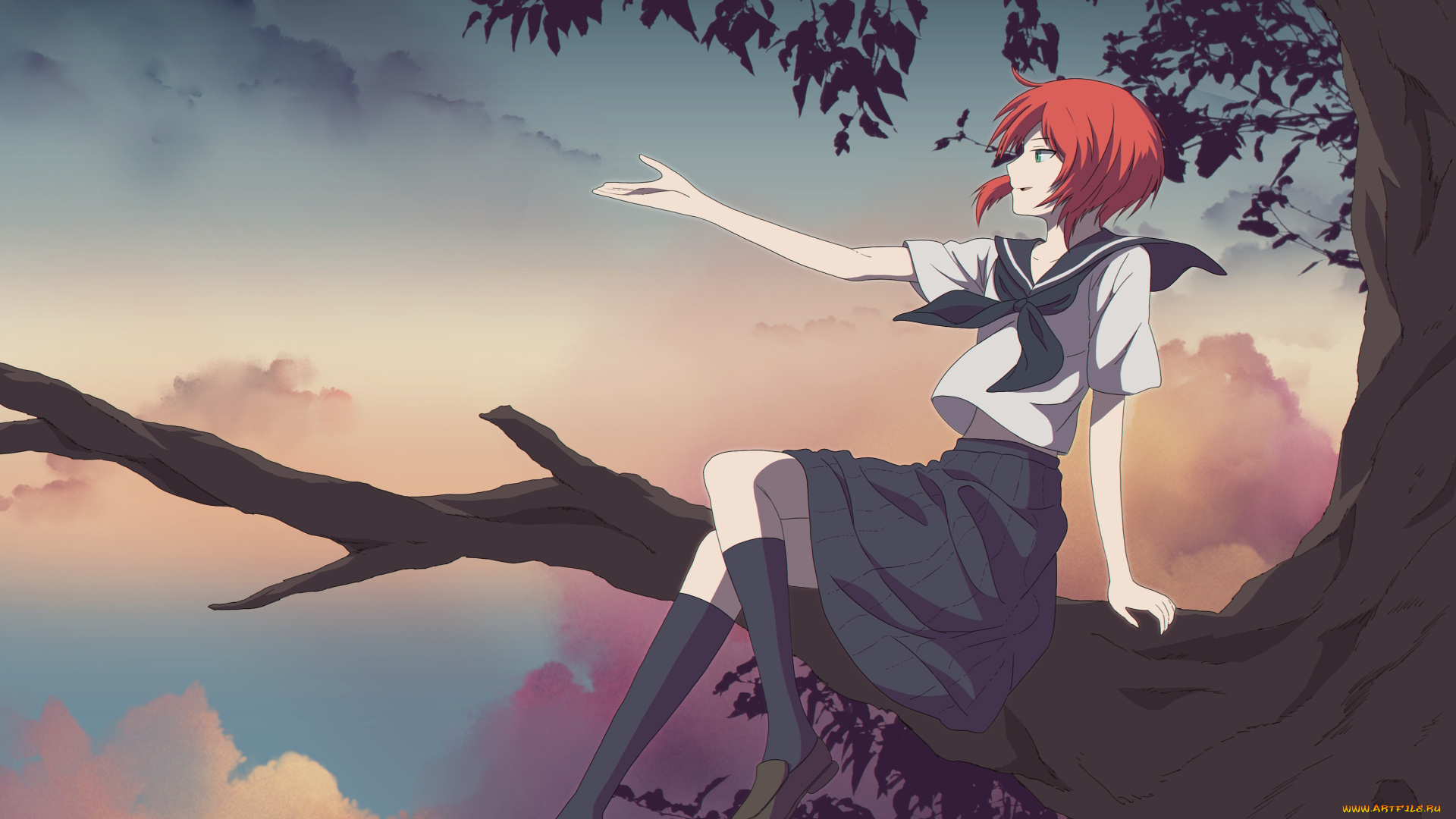 аниме, mahou, tsukai, no, yome, невеста, чародея