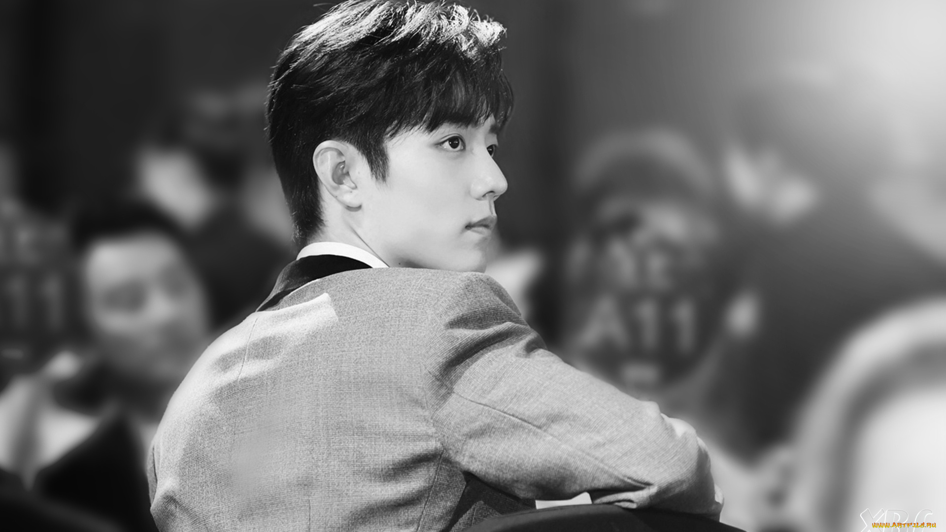 мужчины, xiao, zhan, актер, пиджак