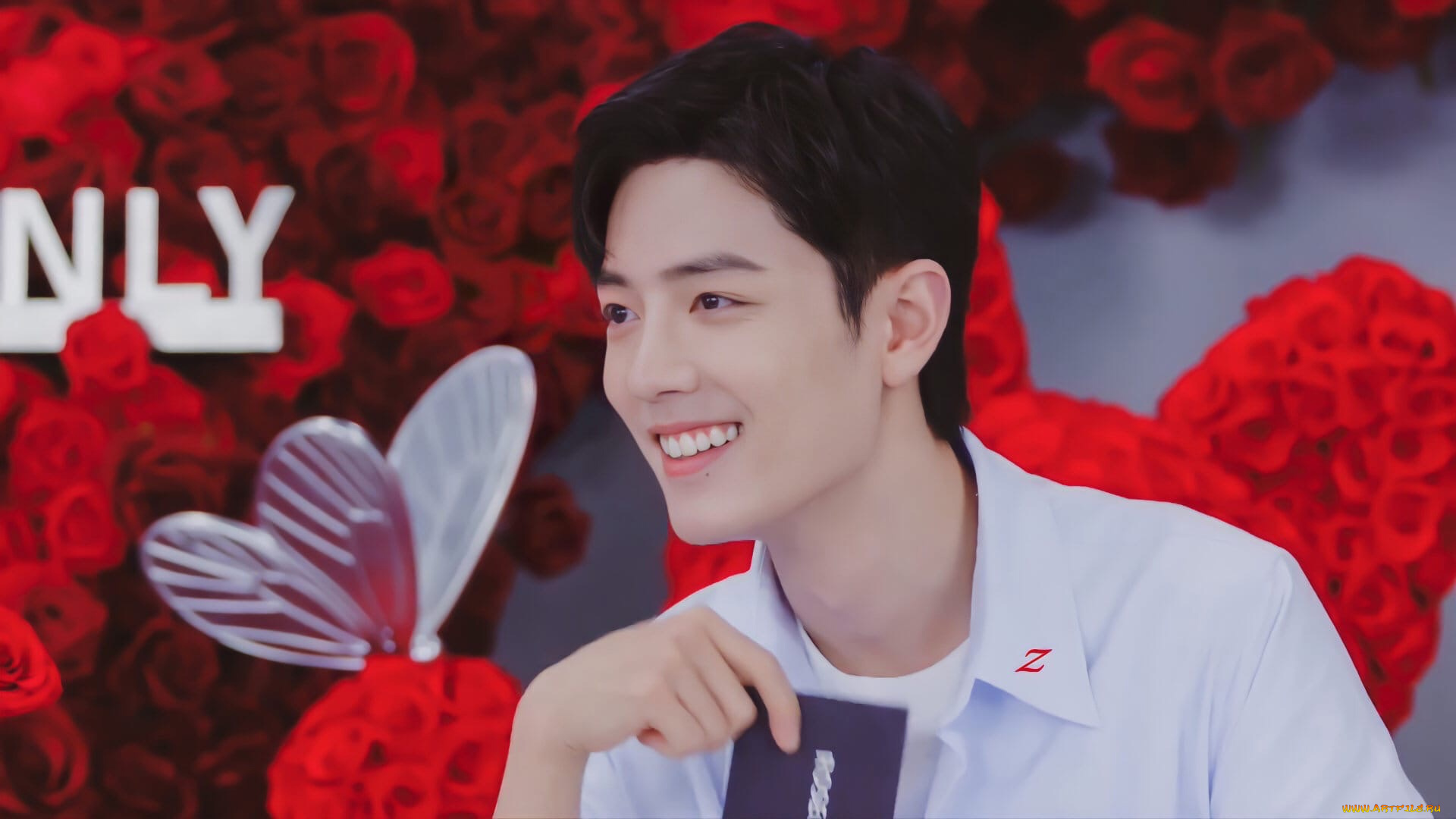 мужчины, xiao, zhan, актер, рубашка, презентация, розы, бабочка