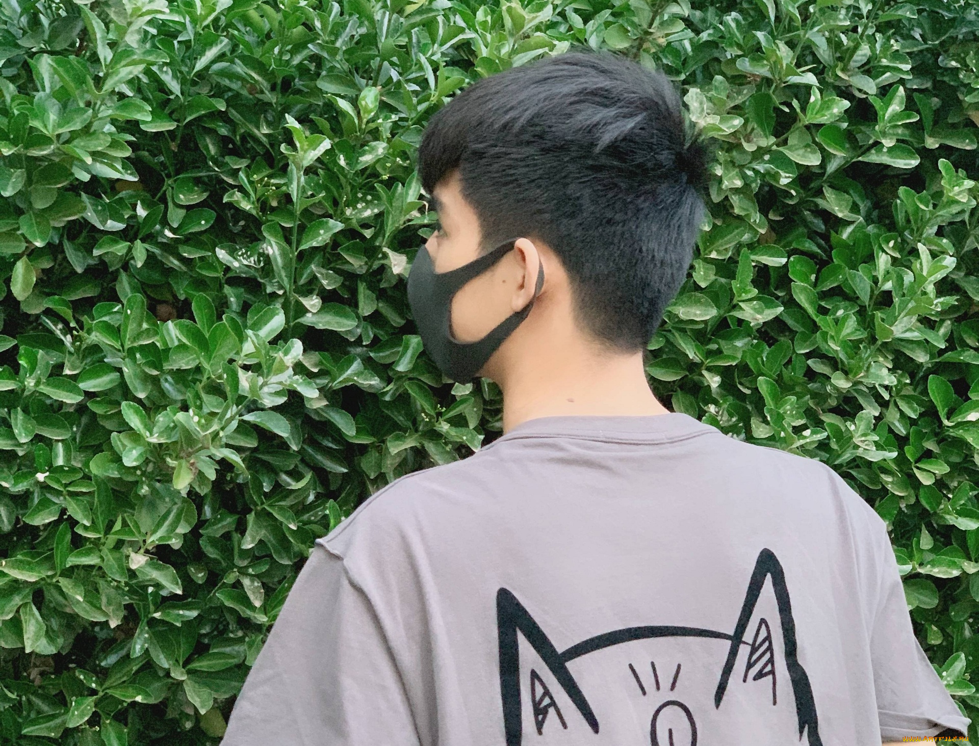 мужчины, wang, hao, xuan, ван, хаосюань, wang, hao, xuan