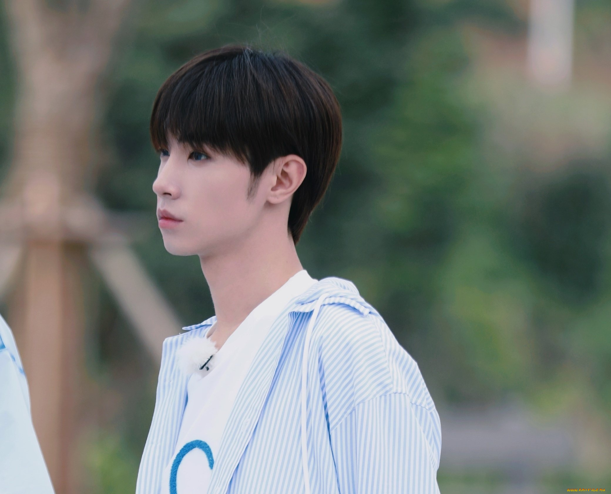 мужчины, song, ji, yang, сун, цзиян, китайский, актёр, певец