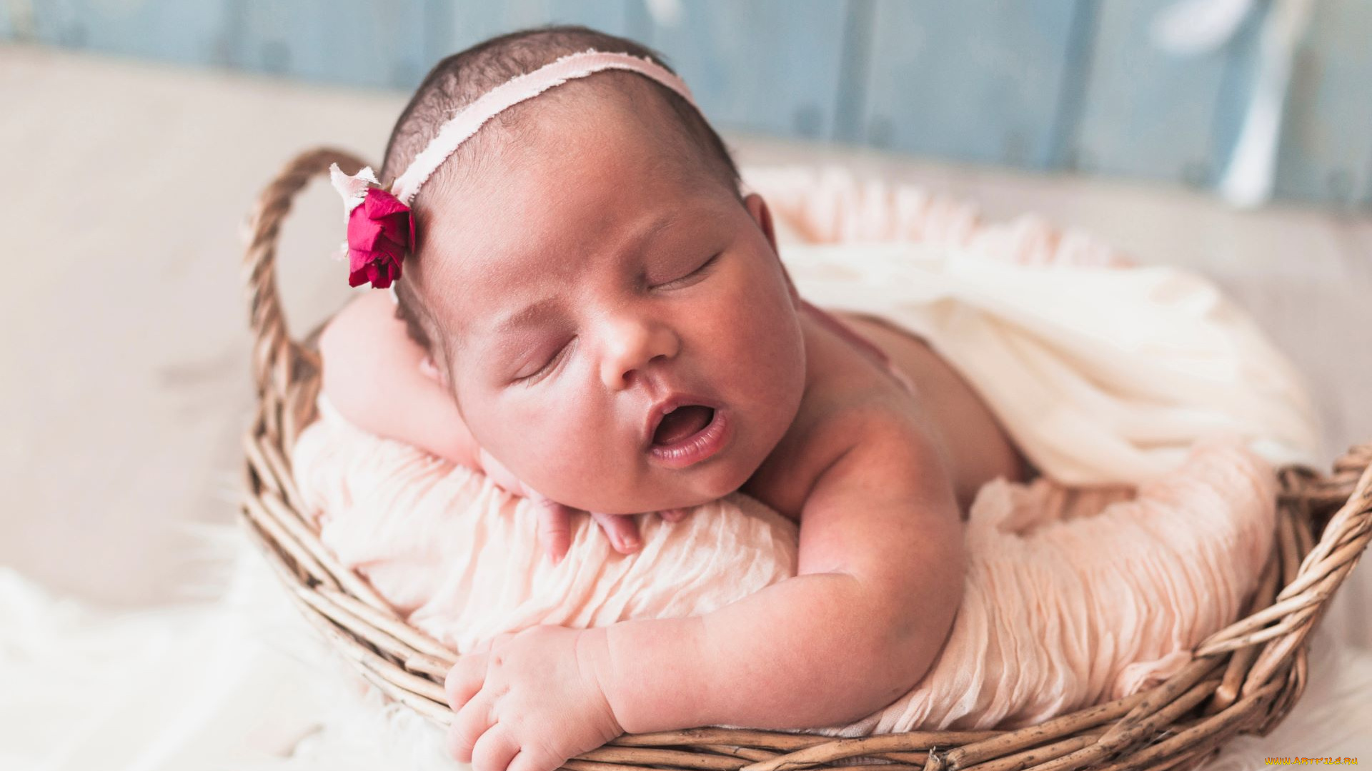 разное, дети, младенец, корзина