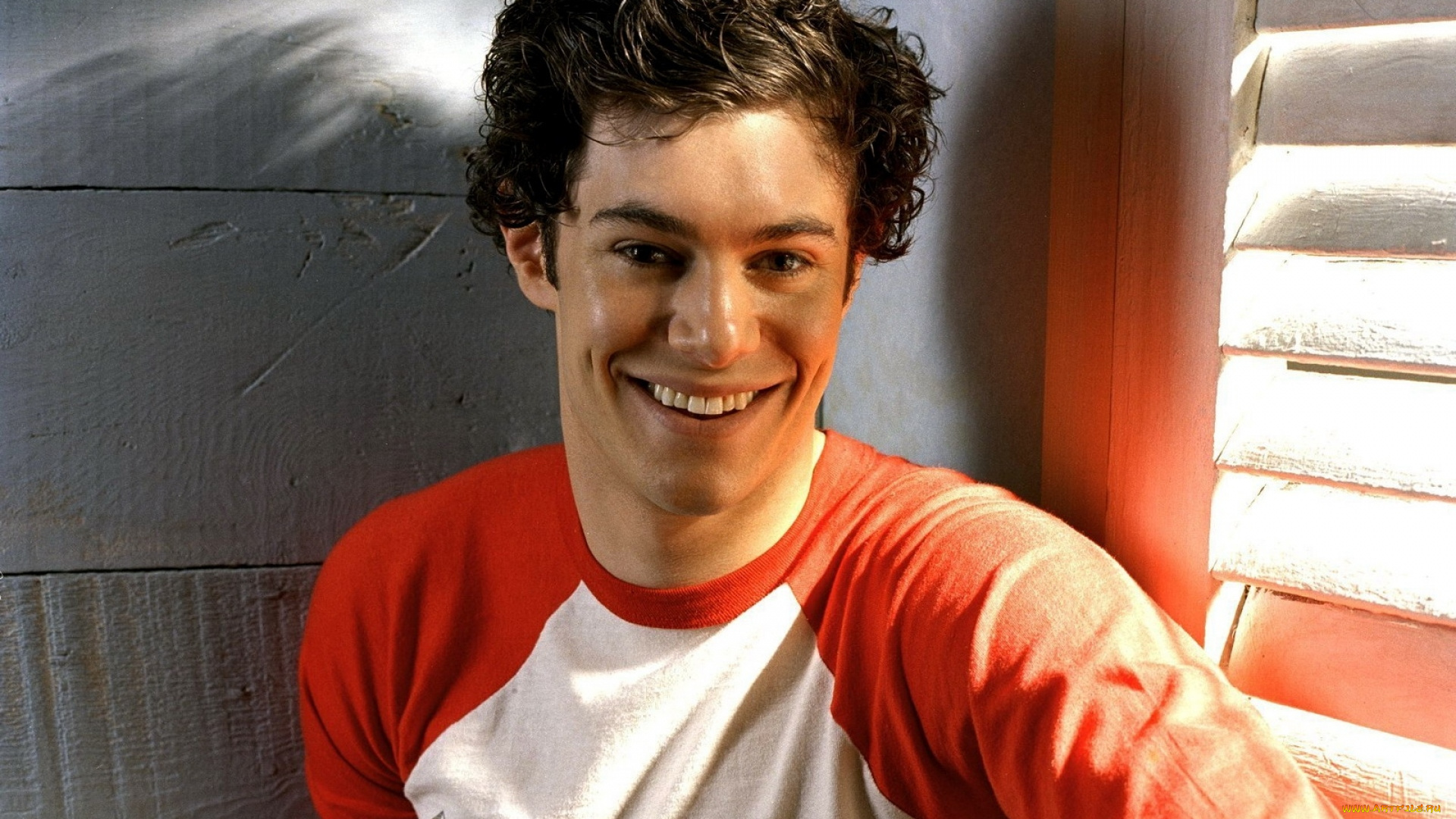 мужчины, adam, brody, актер, лицо, свитер