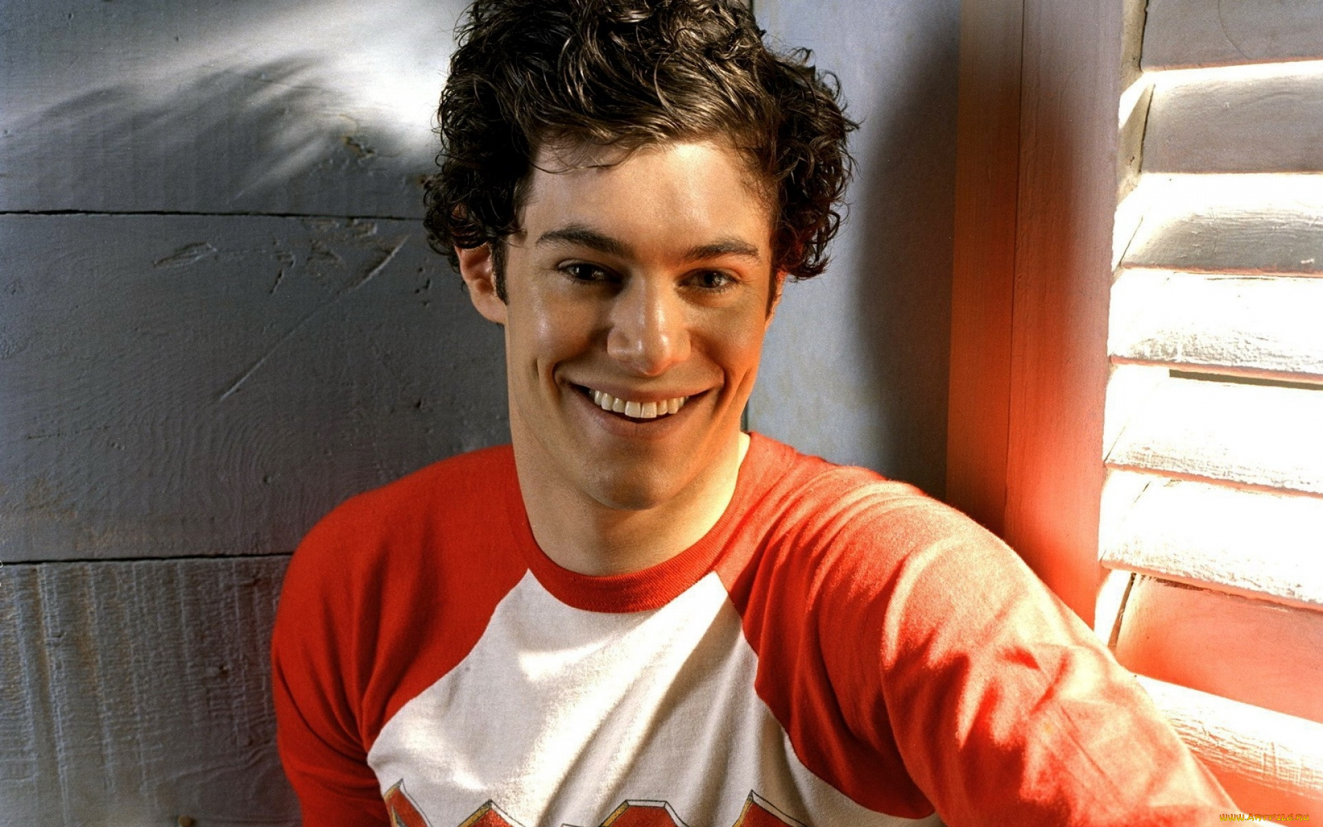 мужчины, adam, brody, актер, лицо, свитер