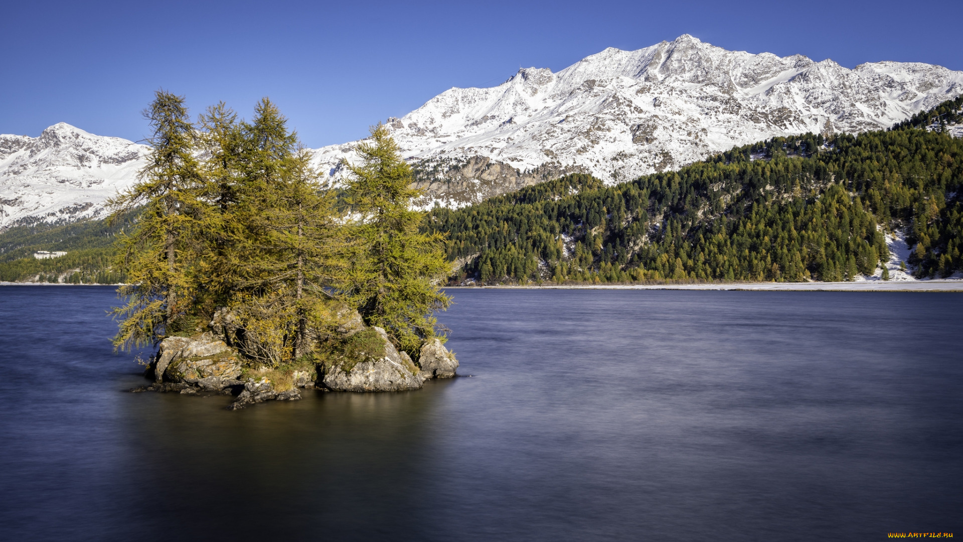 lake, sils, upper, engadin, switzerland, природа, реки, озера, lake, sils, upper, engadin