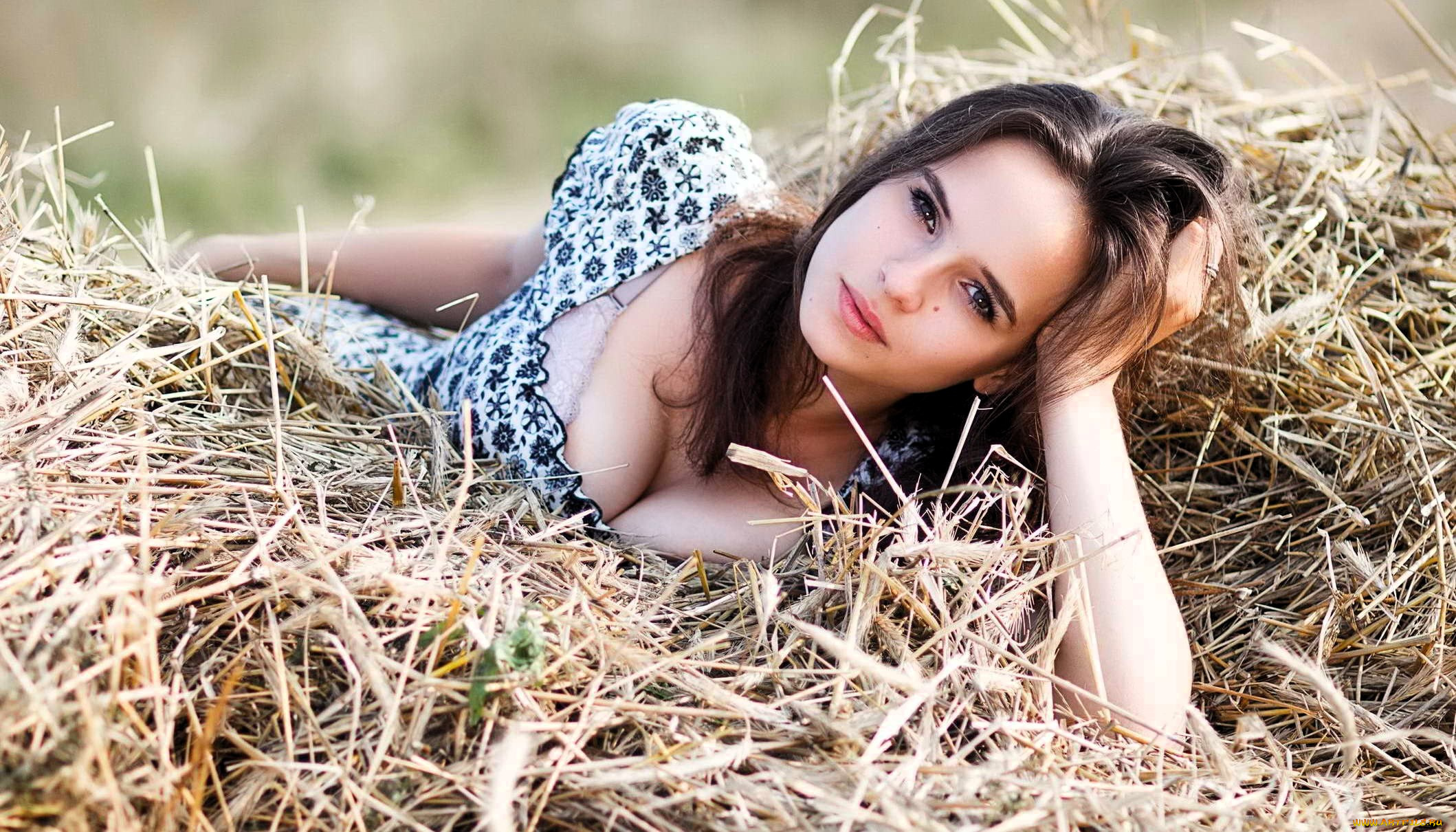 девушки, -, брюнетки, , шатенки, шатенка, платье, сено