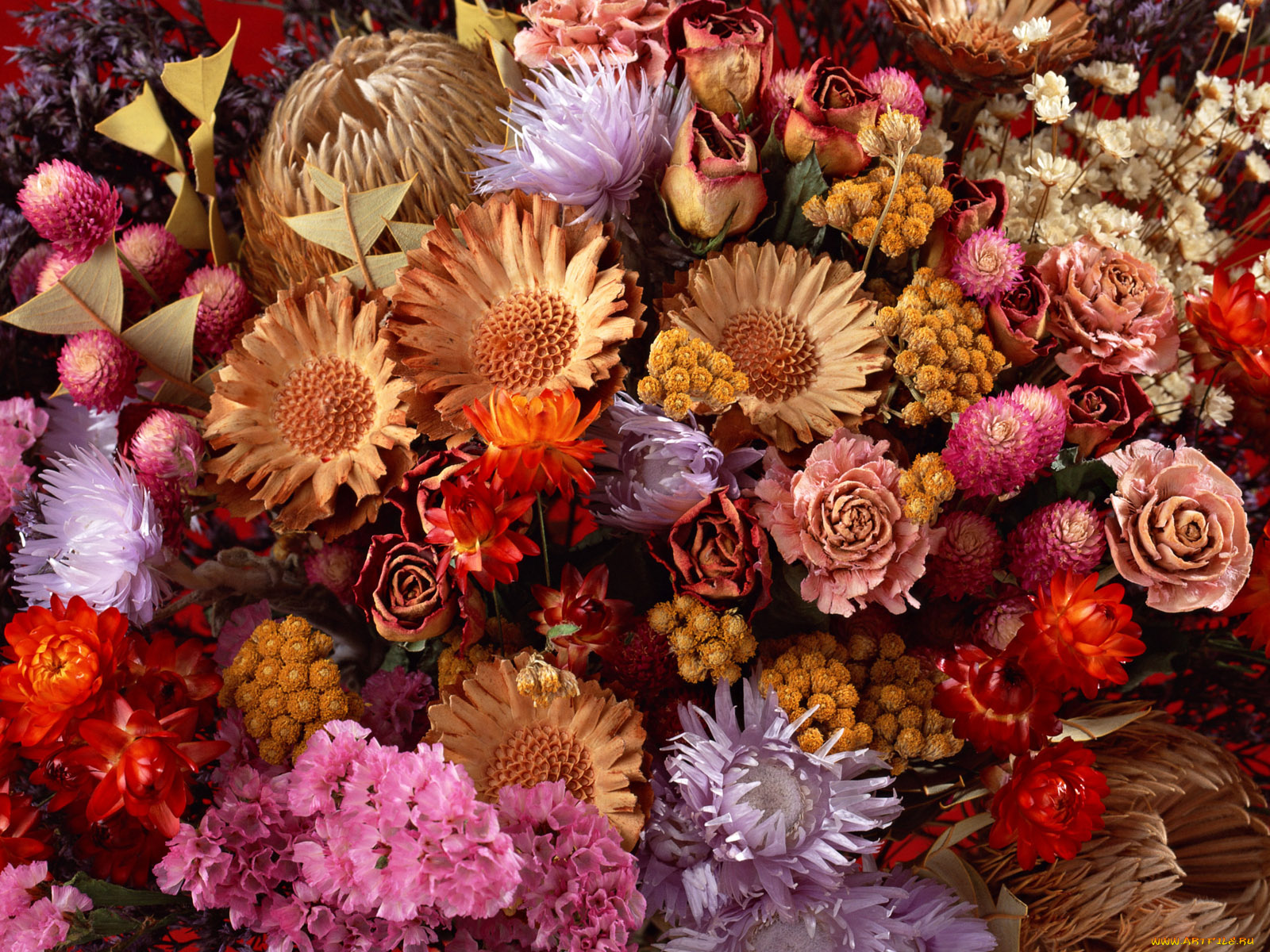 цветы, разные, вместе