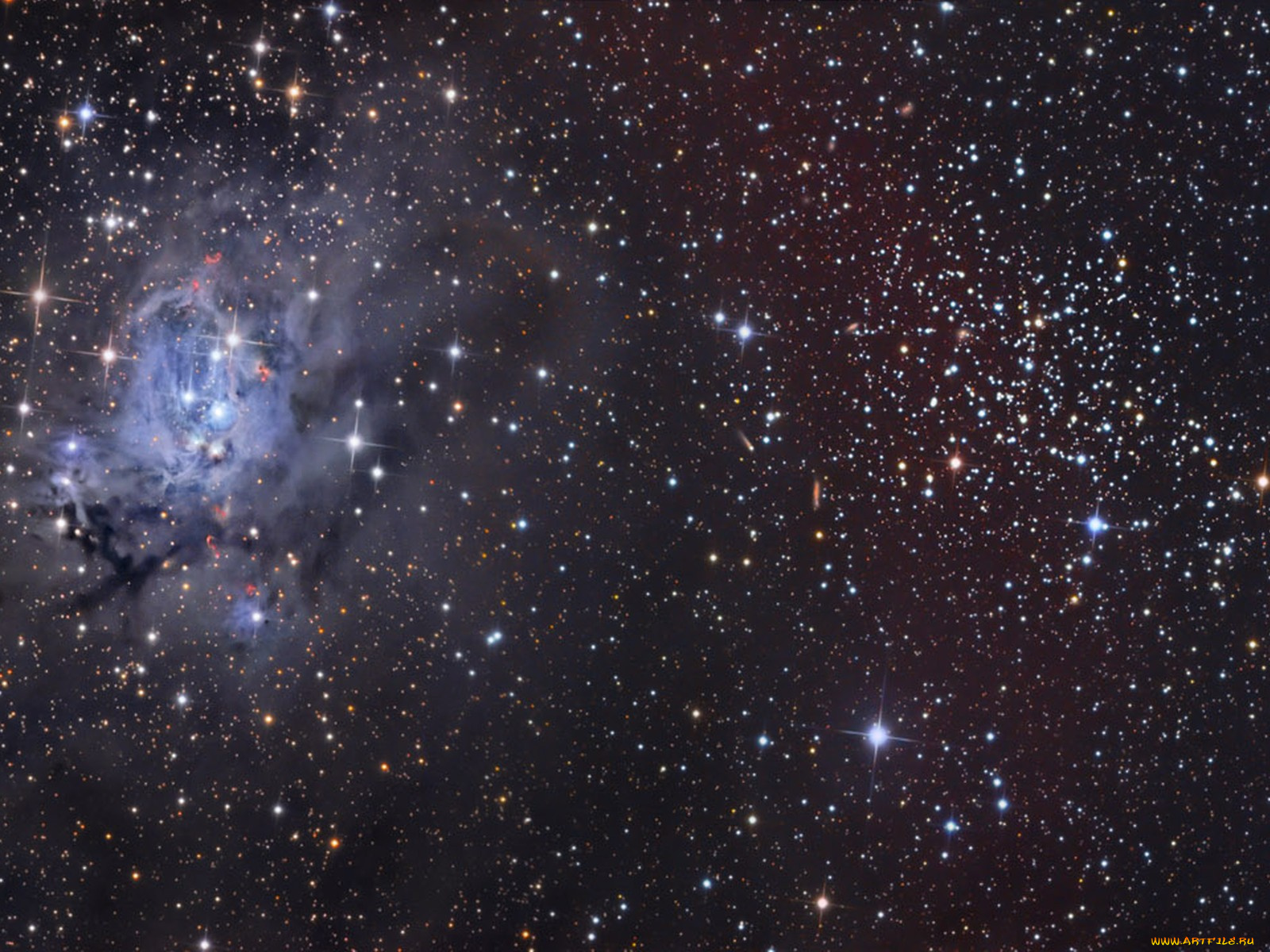 ngc, 7129, 7142, космос, галактики, туманности