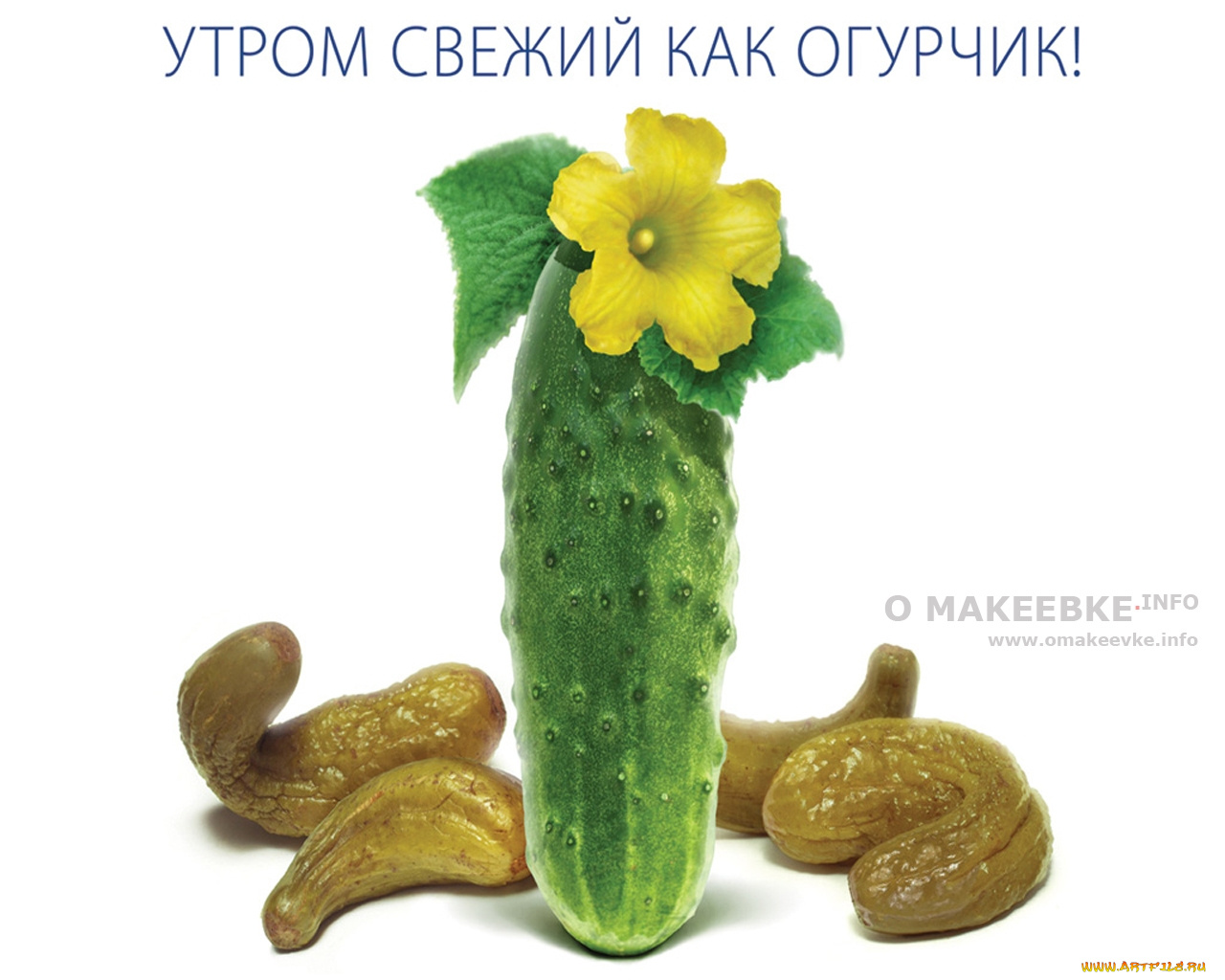 юмор, приколы