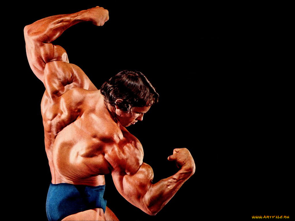 artfile, ru, спорт, body, building