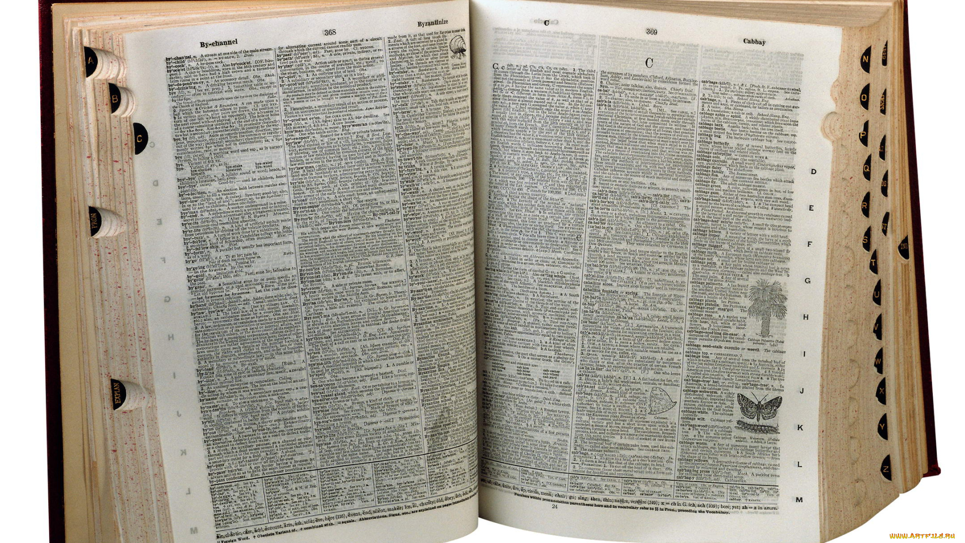 разное, канцелярия, книги, книга