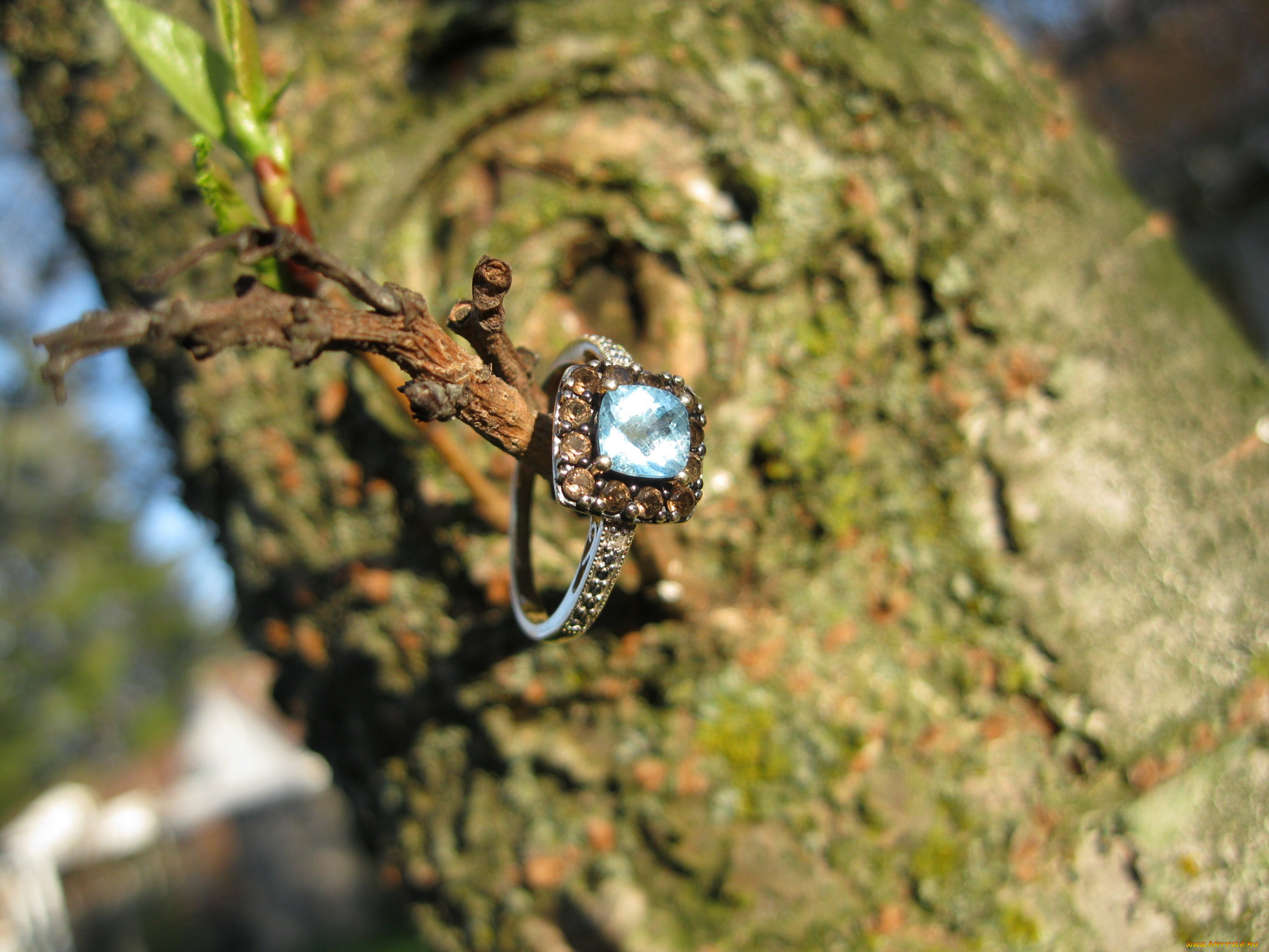 разное, украшения, аксессуары, веера, кольцо, ветка