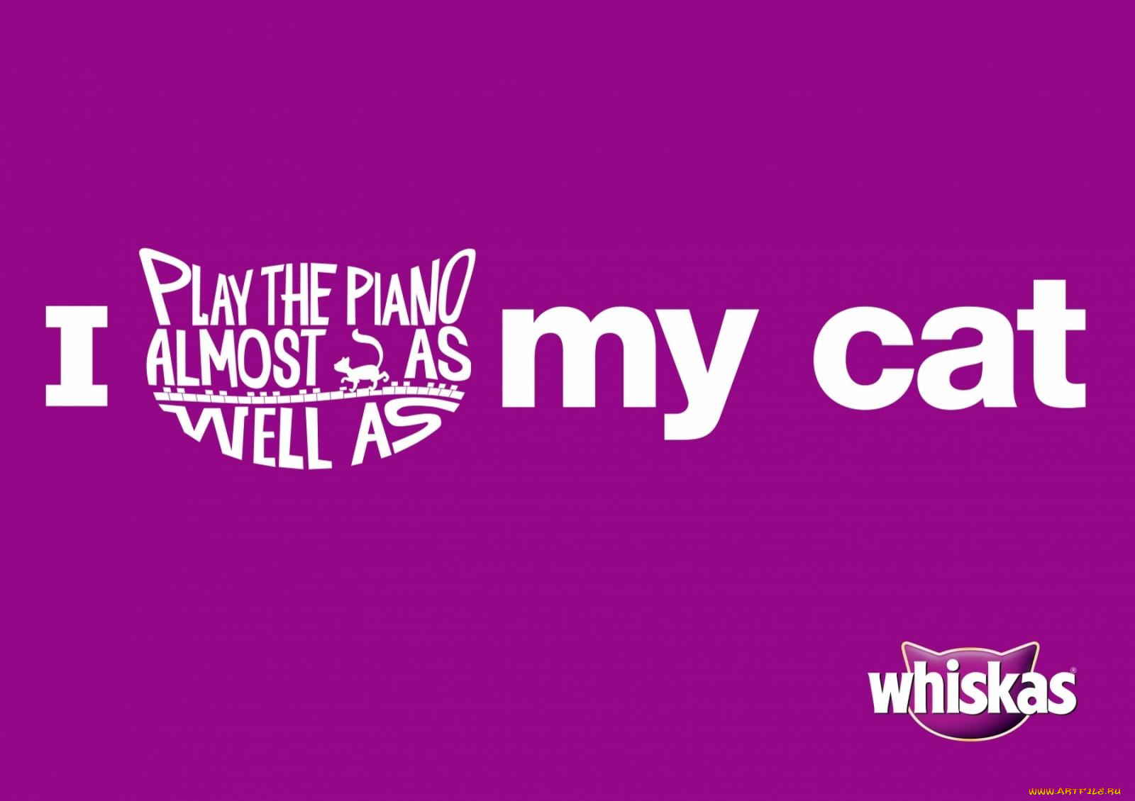 бренды, whiskas, корм