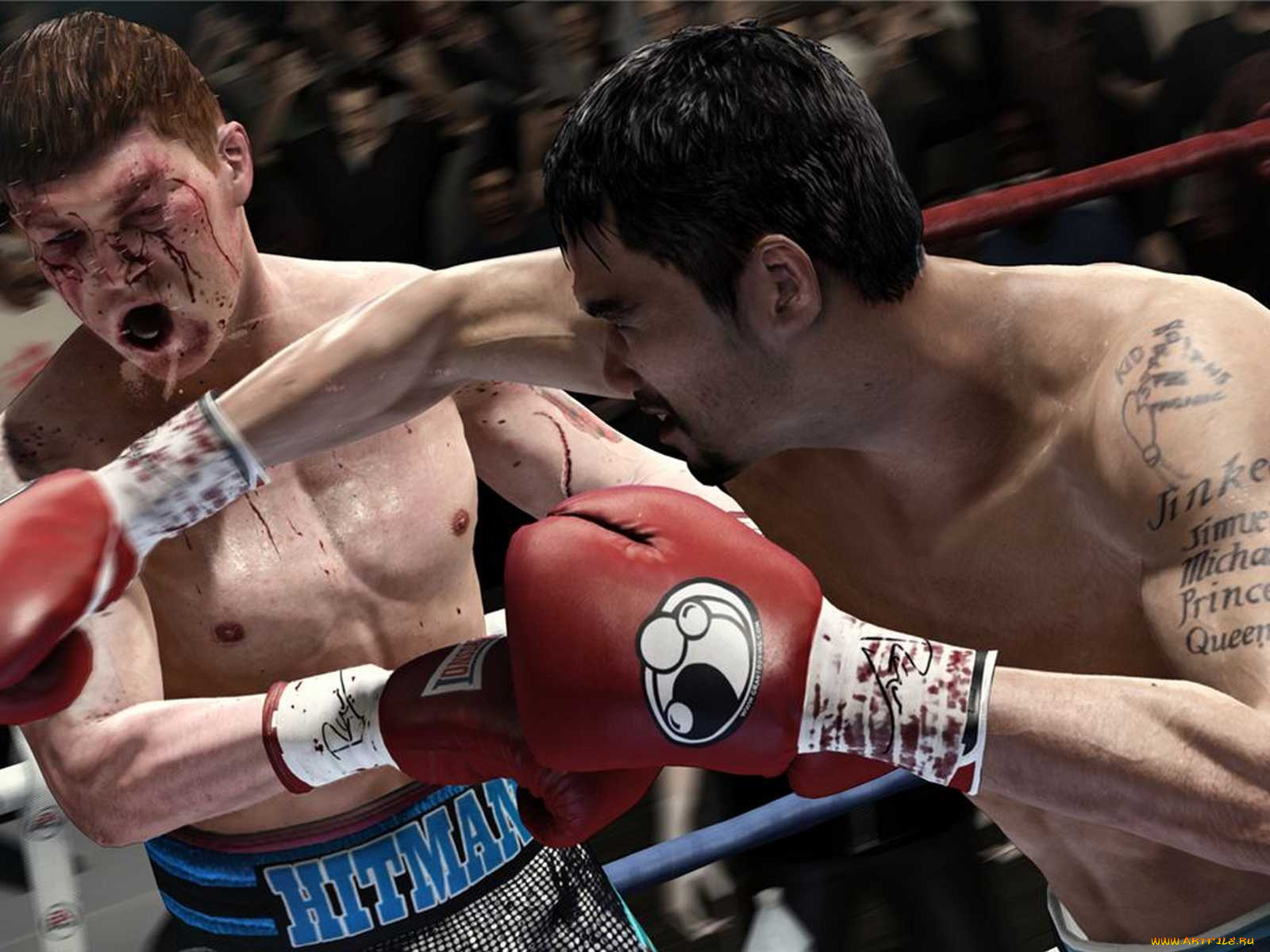 boxing, спорт, бокс, хук, правой